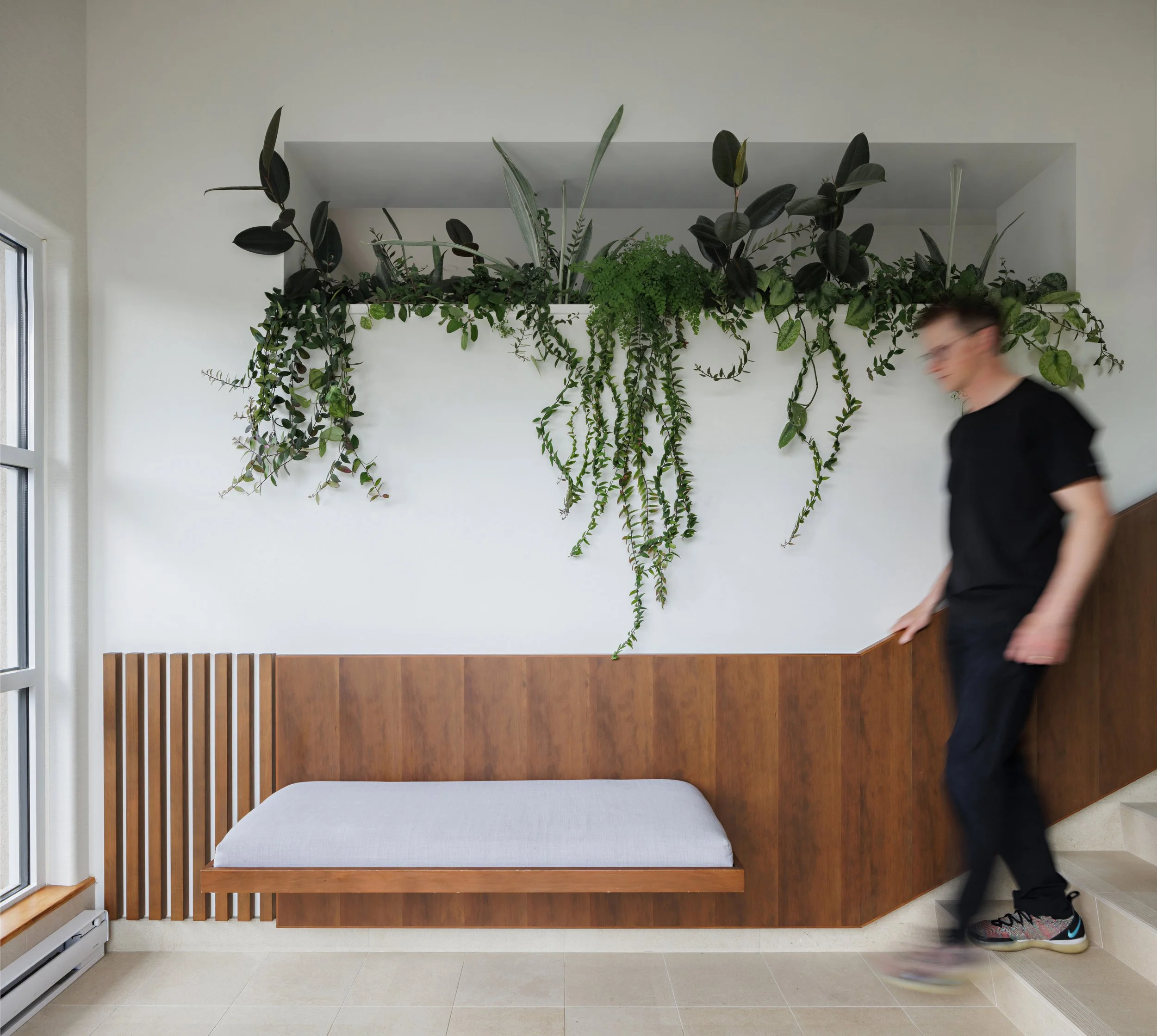 Interior of a modern room with a white wall and large green hanging plants. A window to the left lets in natural light. A wooden and upholstered bench is positioned against the wall, with a pair of sneakers on floor near the bottom right corner, and 