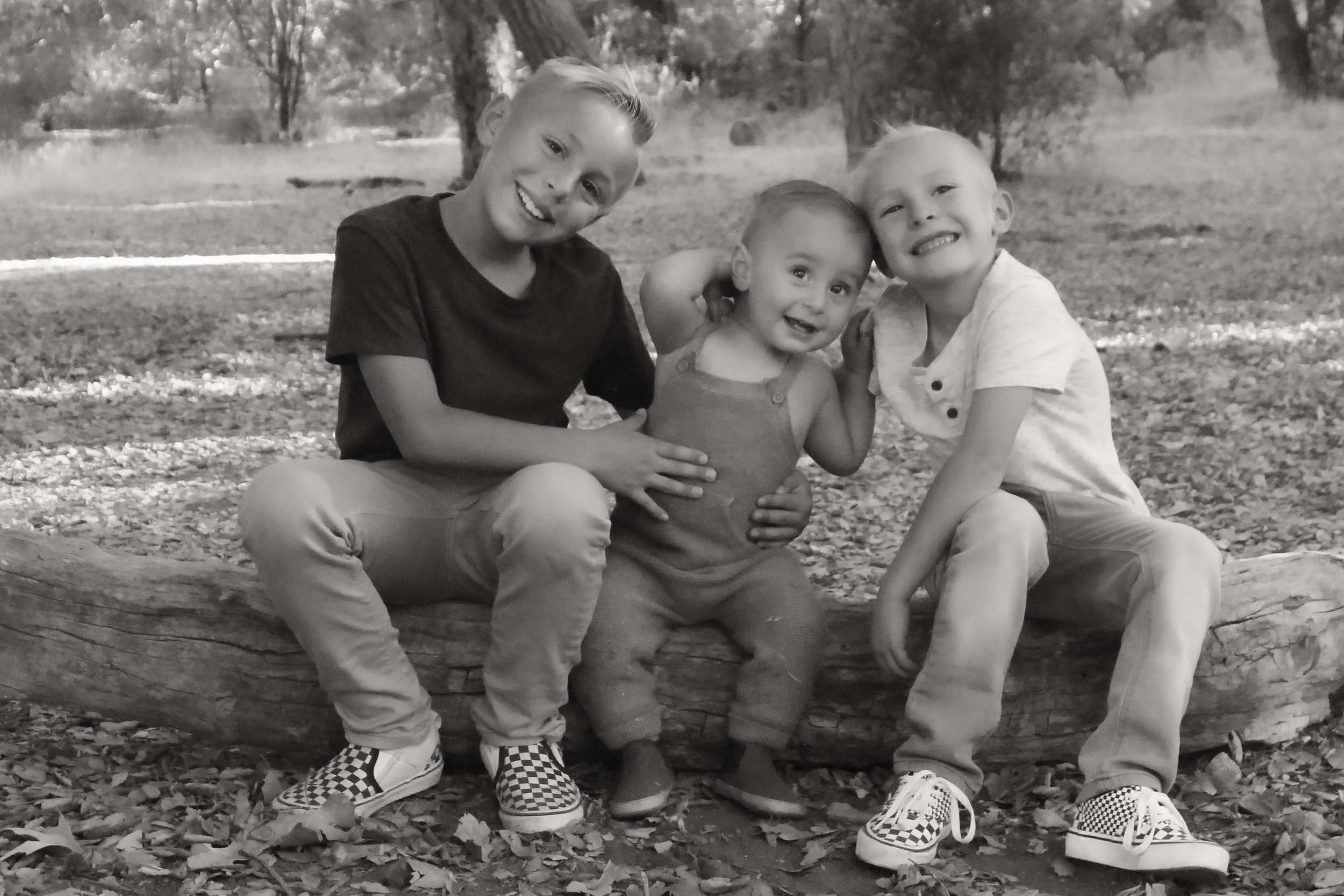The Three Muskateers.jpeg