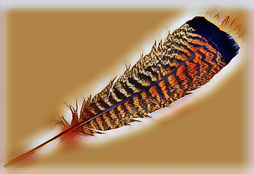 Prayer feather + Cacao