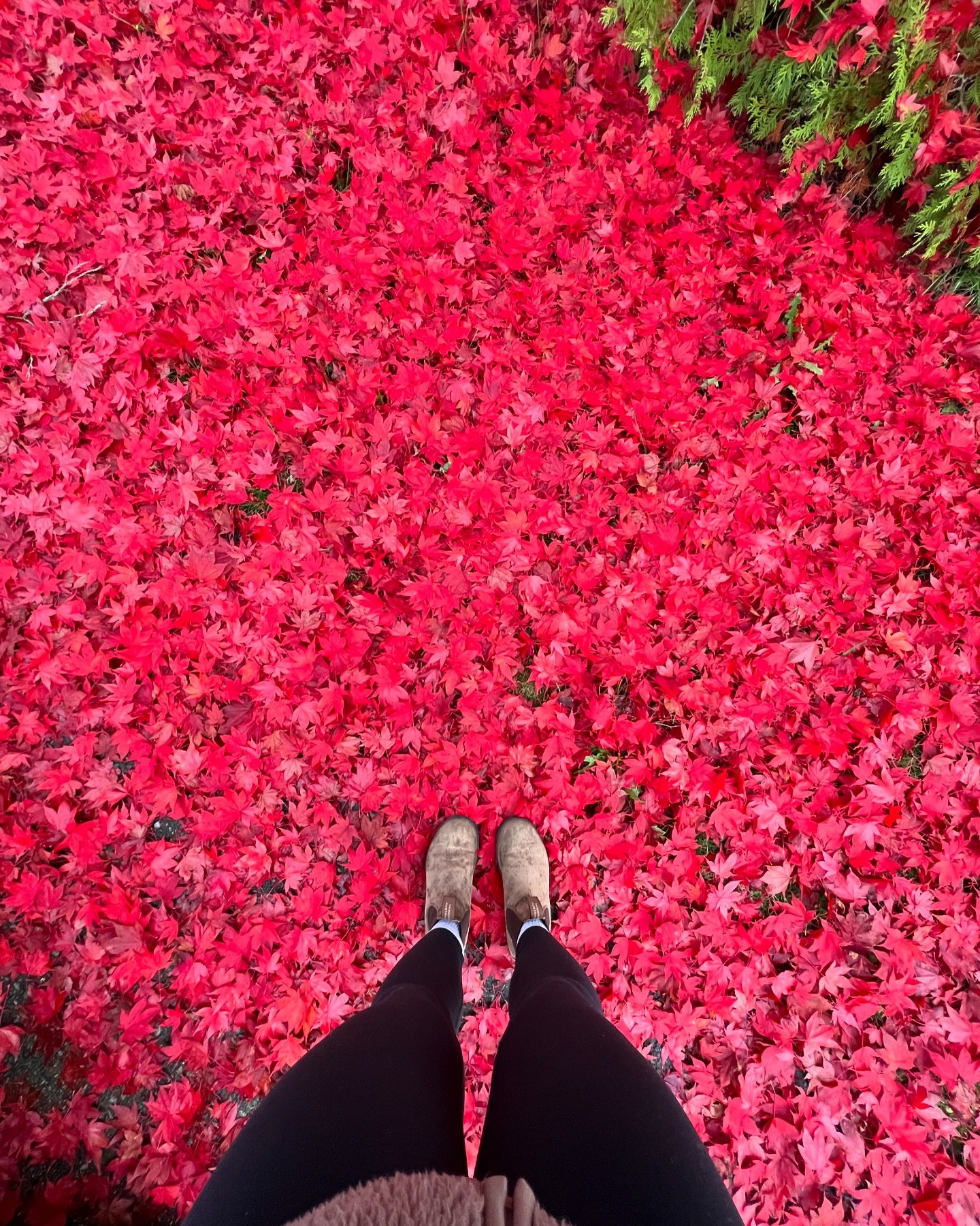 october was nice 🍁