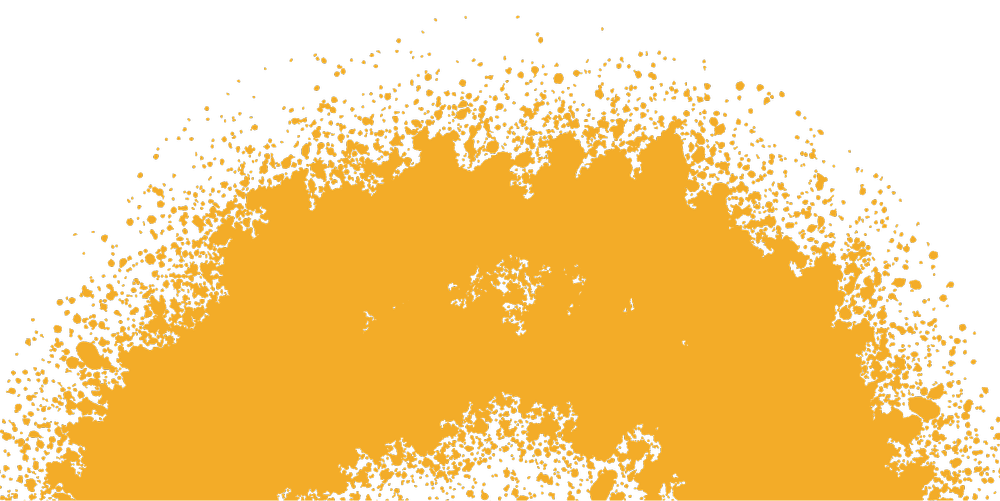 Arise Shine Conference