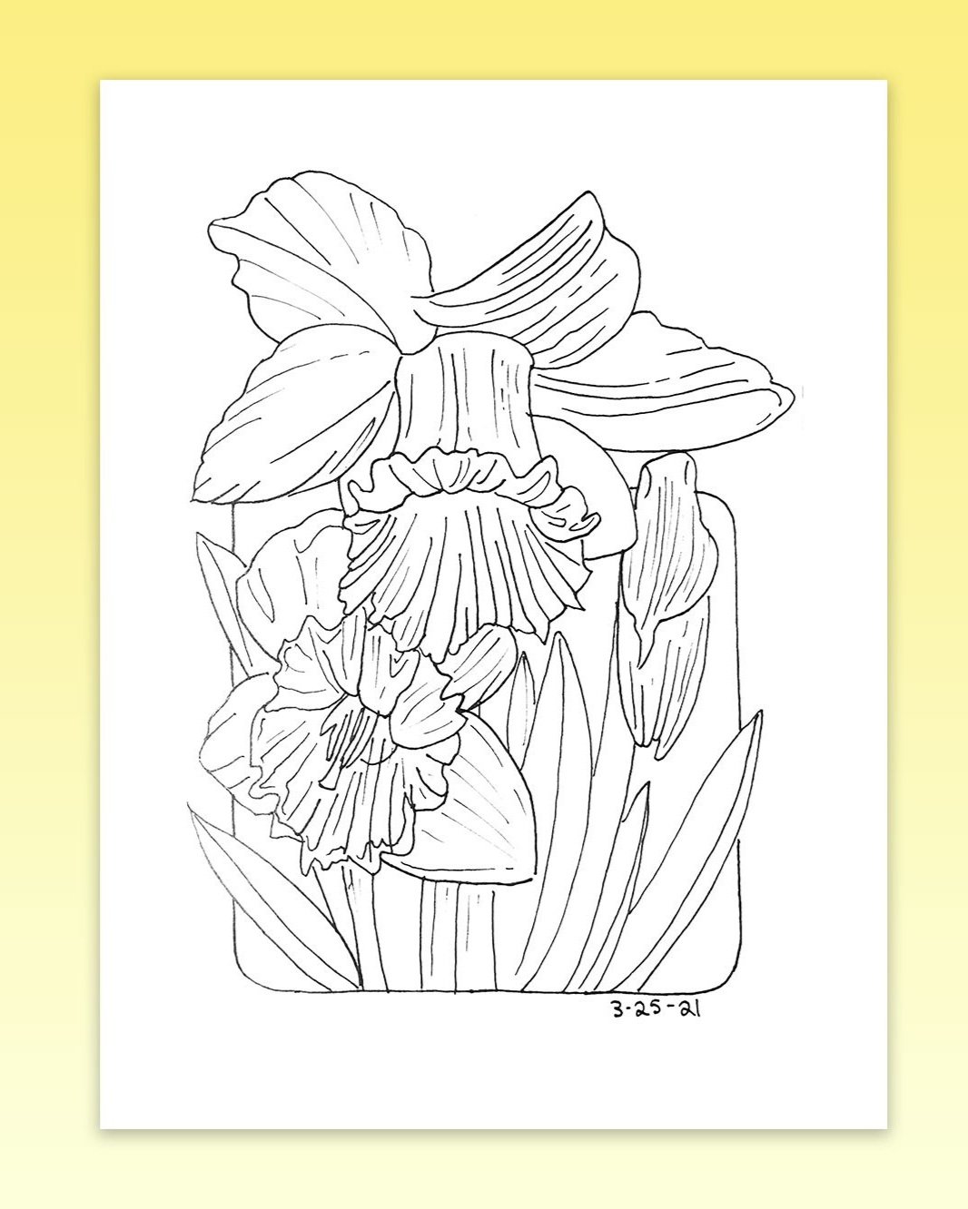 Daffodil-01.jpg