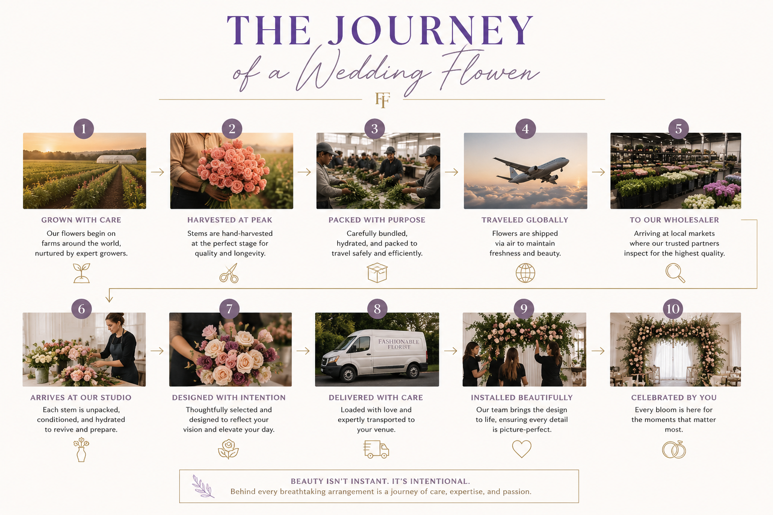 An infographic showing a journey of a wedding flower from grown with care at the farm, harvested at peak, packed with purpose, traveled globally to the warehouse. From there it arrives at our studio to be designed with intention and delivered.