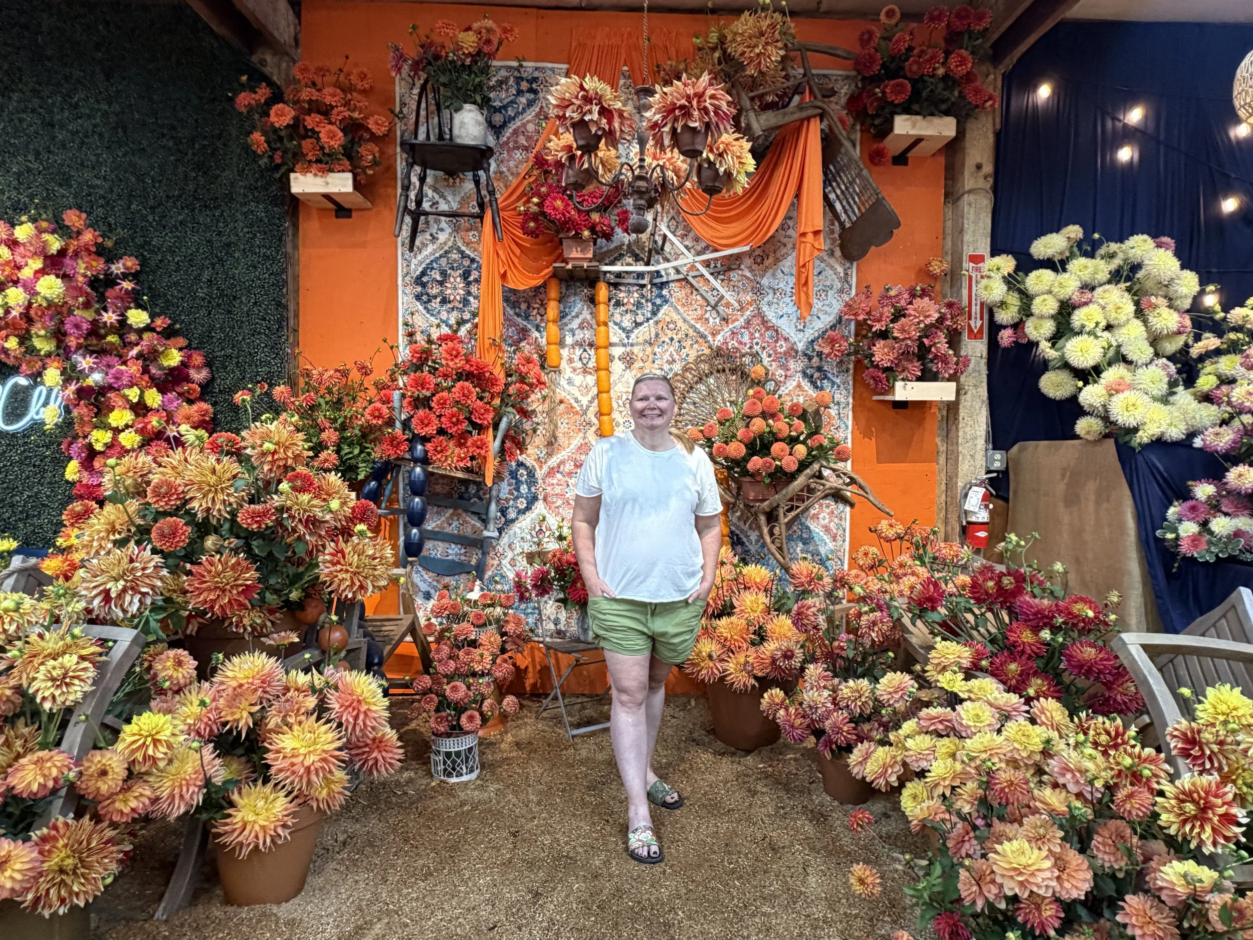 Boho chic room of orange, peach, and yellow dahlias.