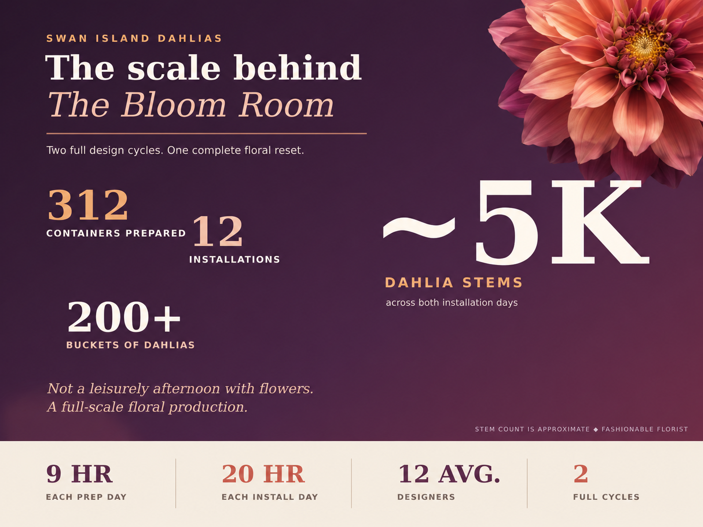 Fast facts behind Swan Island Dahlias