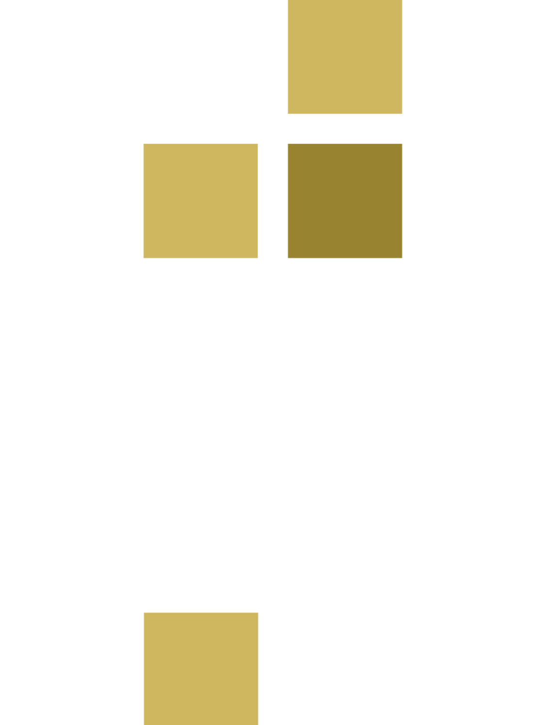 GORA Construction Products Ltd. High Contrast Logo.