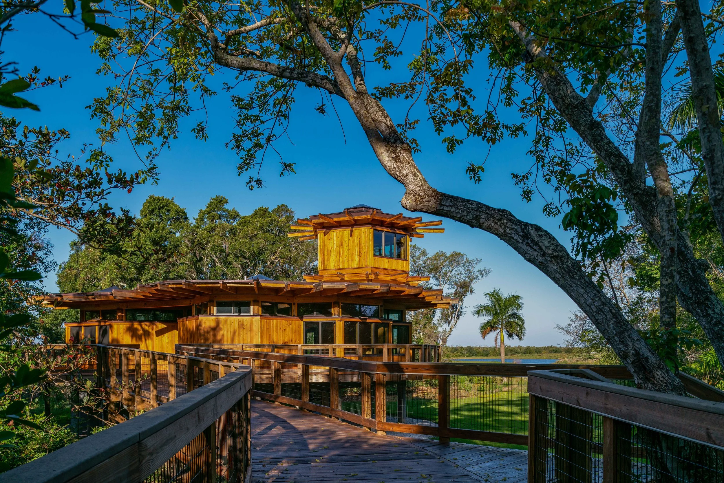 2019 - RiMO Photo - HOUSER WALKER - The NEST-027.jpg