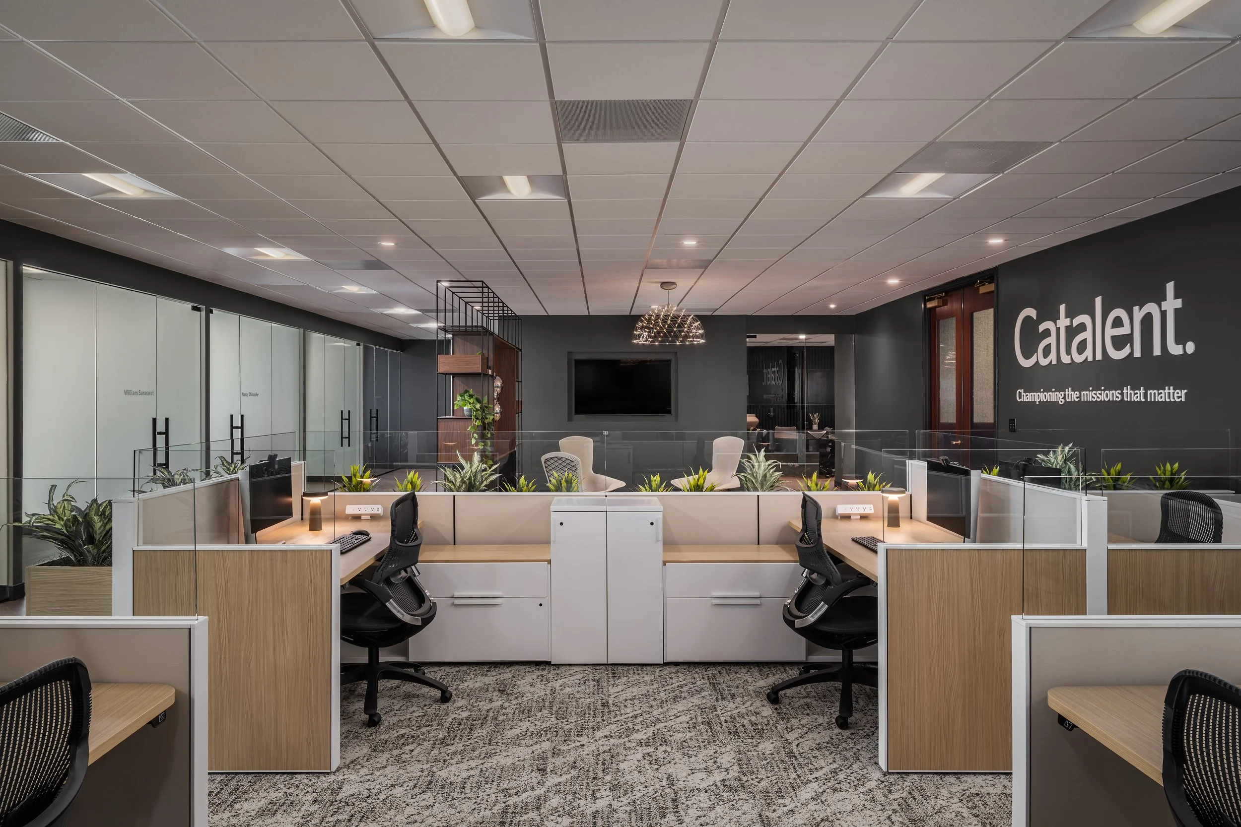 2025 - RIMO PHOTO - CREATE + CO - CATALENT - 002.jpg