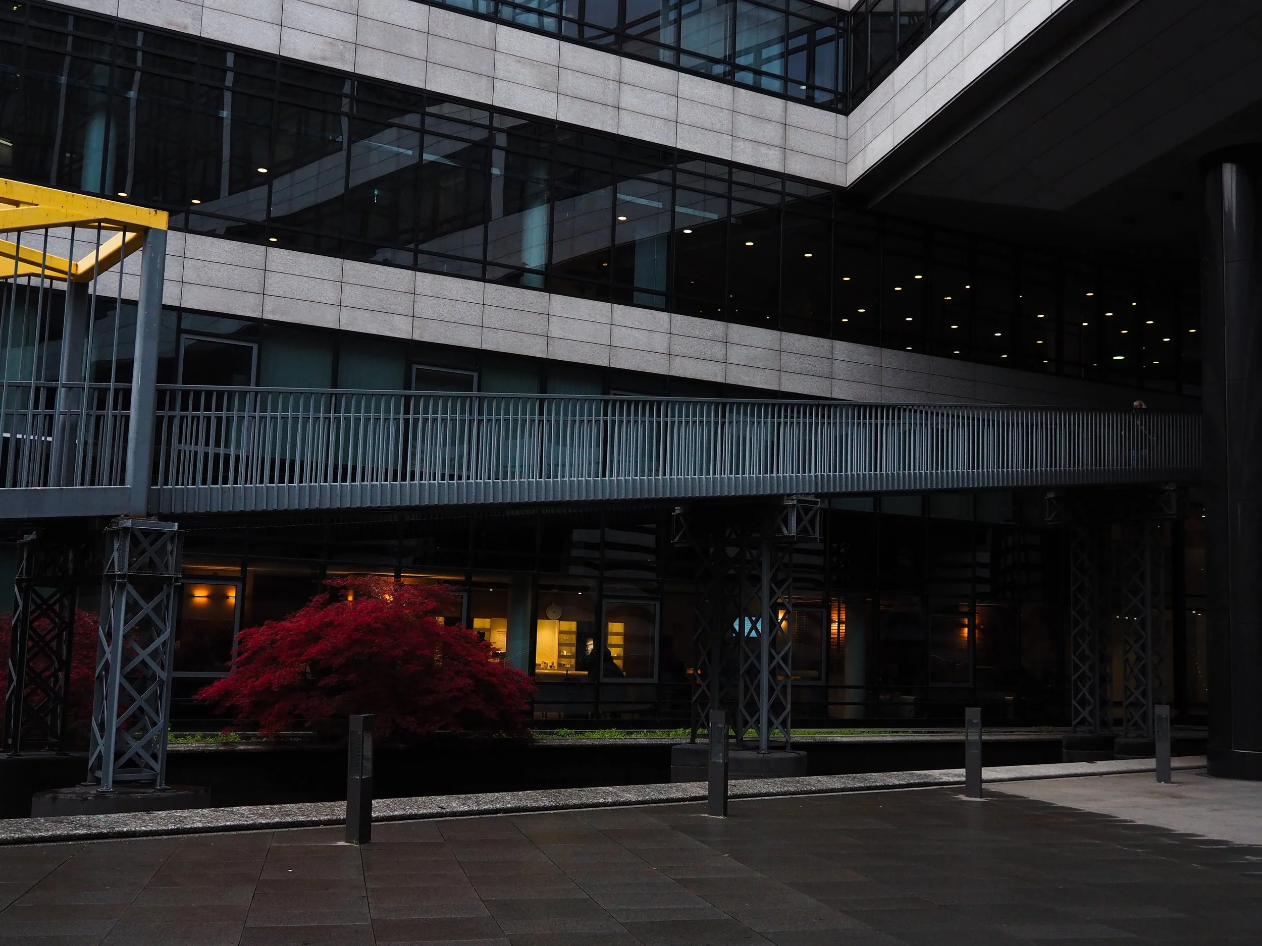 Modern building exterior with large windows, metal walkway, and red-leafed tree in foreground.