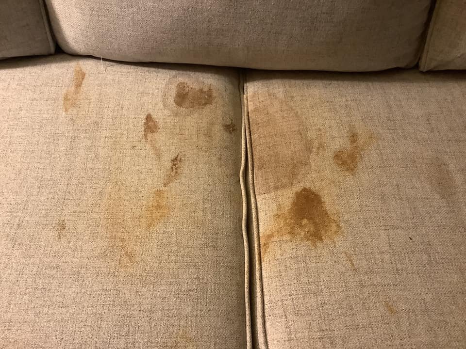 couch before.jpeg