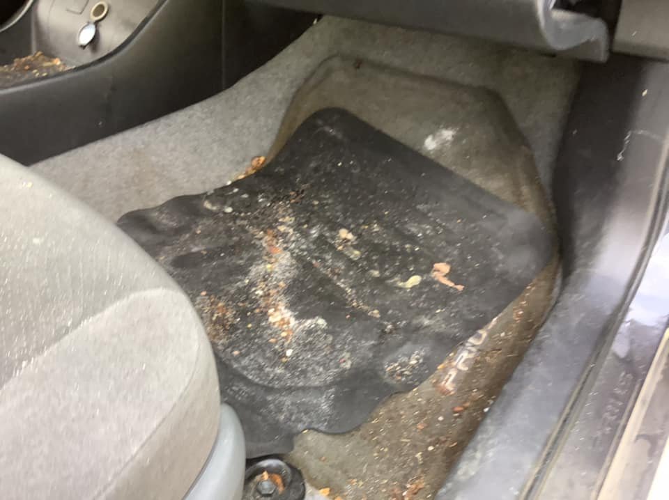 car rug before.jpeg