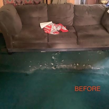 carpet before.jpeg