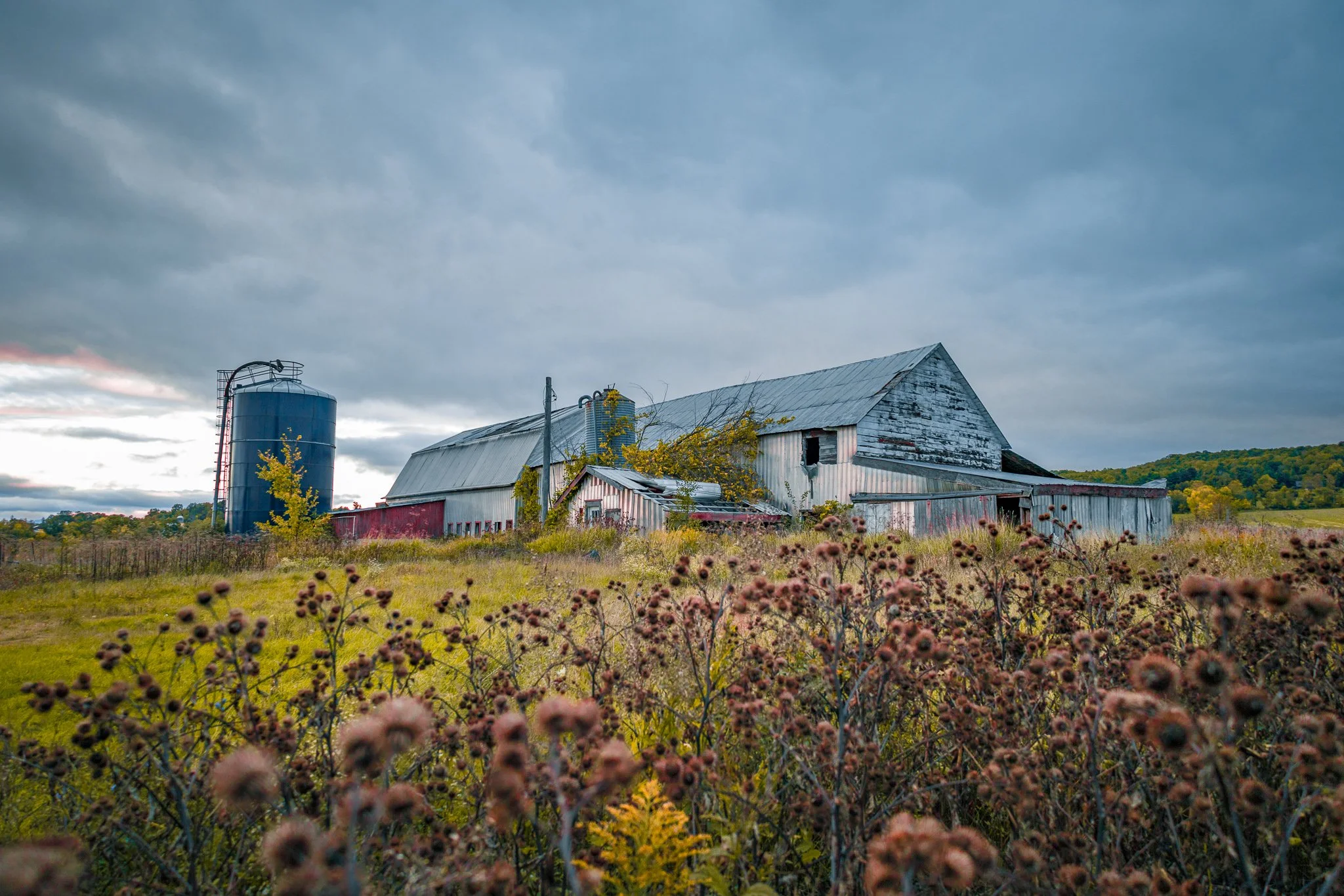 An old, weathered barn with a metal roof and a silo in a rural field, under a cloudy sky with autumn foliage in the background.