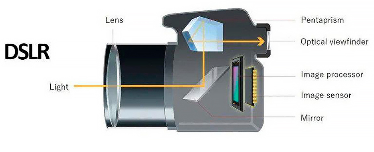 DSLR vs Mirrorless Cameras for Beginners: What Actually Matters — A.J ...