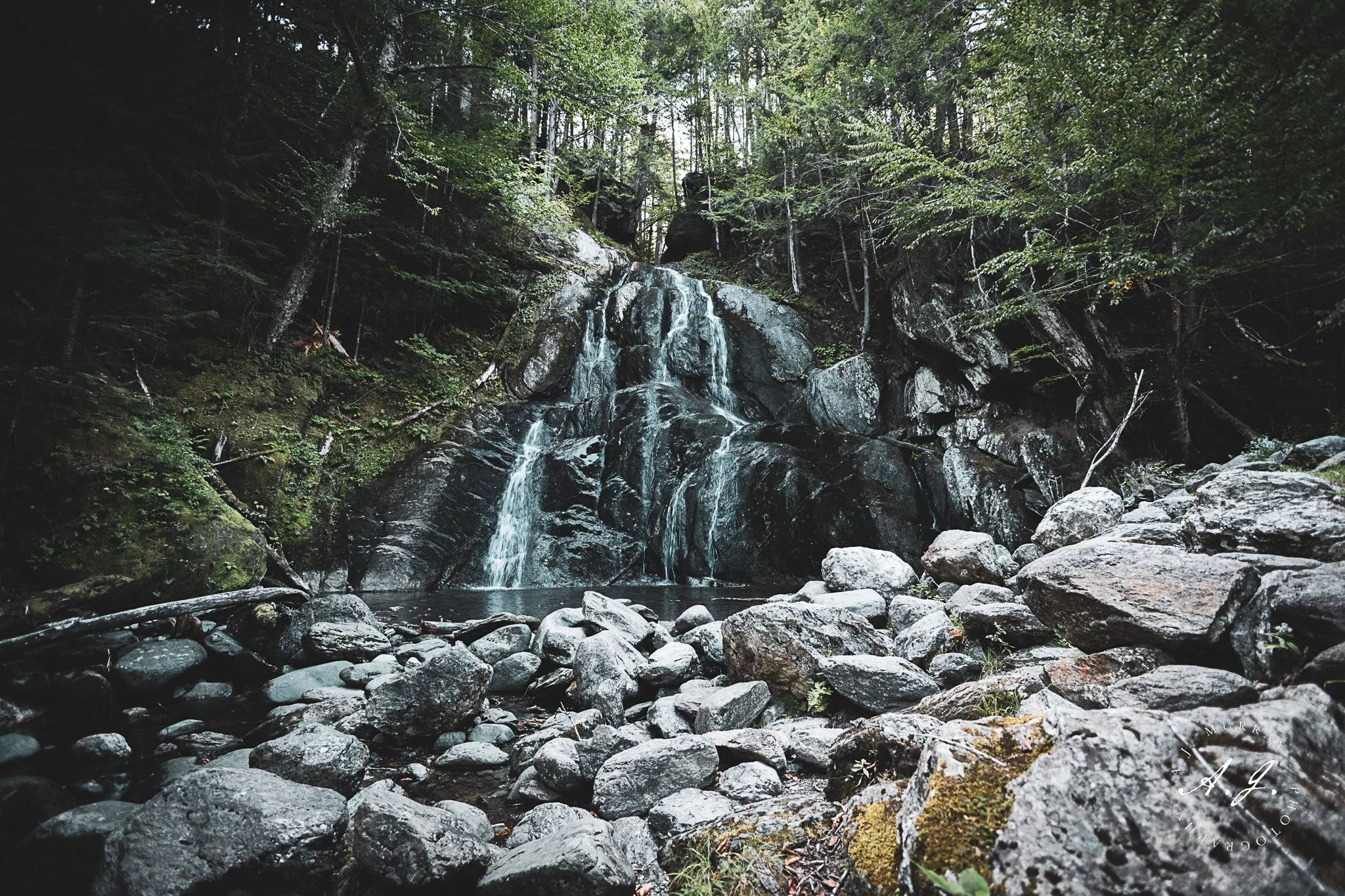 A small waterfall cascading down black rocks into a pool in a forested area surrounded by green trees and moss-covered rocks.