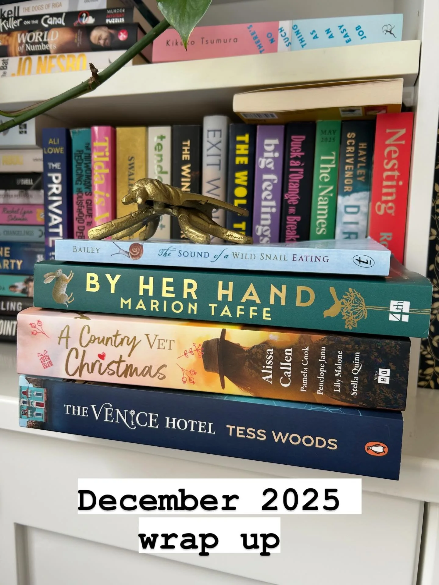 December Reading Wrap Up 📚 

It&rsquo;s a month late, but I still wanted to share what I read in December and celebrate the reading year. I read 73 books in 2025 across almost every possible genre (swipe left).

🏨 The Venice Hotel by @tesswoods_aut
