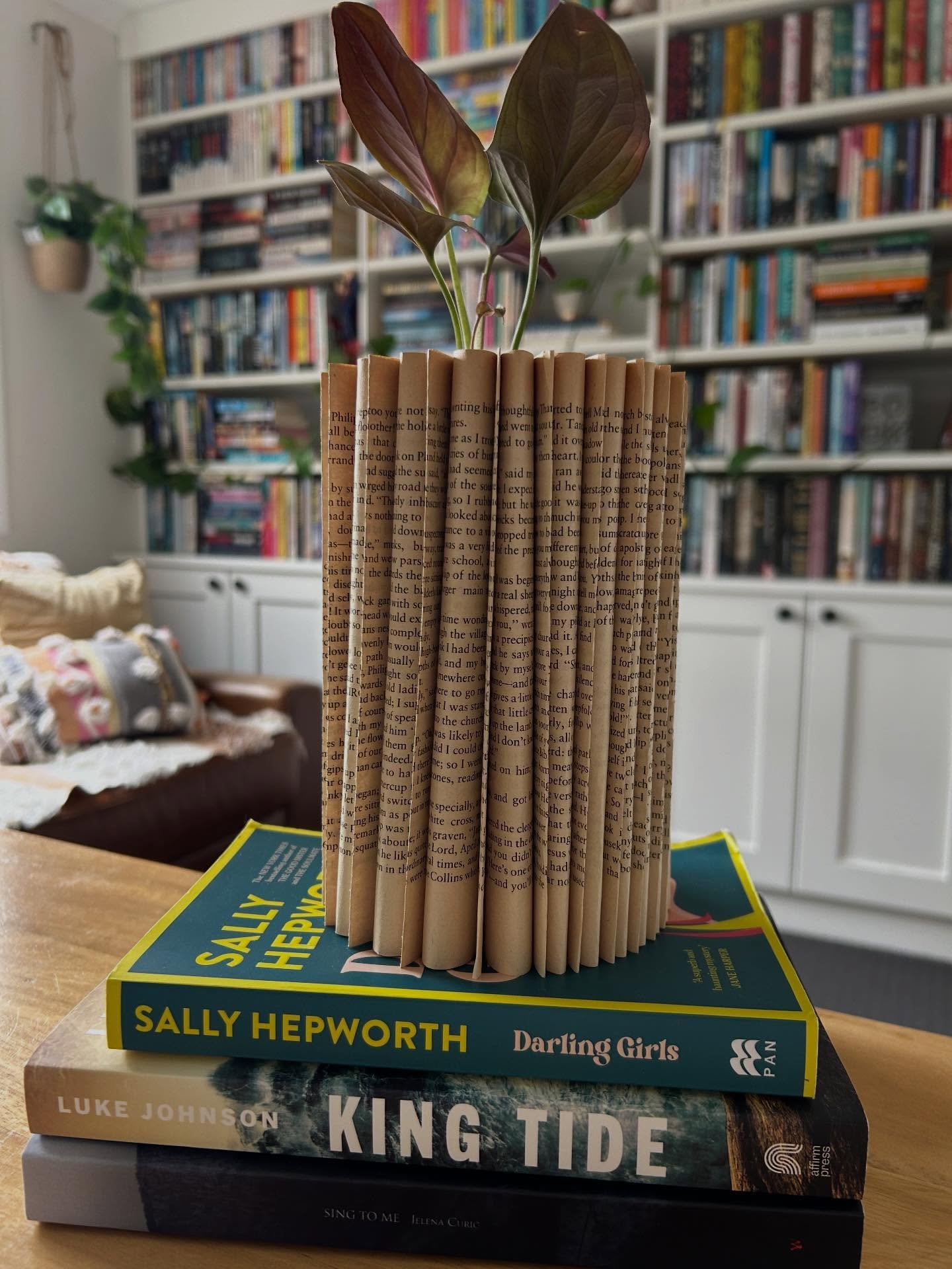 November reading wrap up!

It was a low reading month for me but I did have to submit the final, final proofs for The Woman in the Seal Skin 😅 So that&rsquo;s done! And I&rsquo;m really happy with how it has all come together.

This month: 3 print b