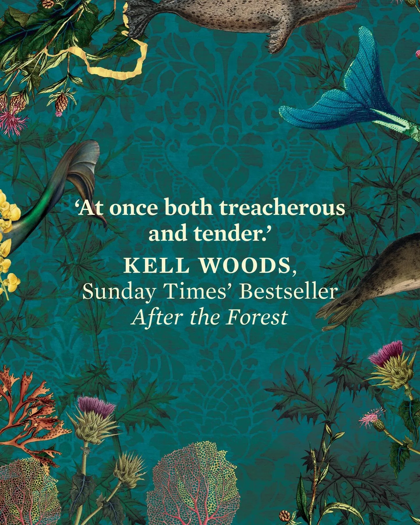 I am so so honoured that the super talented @kellinthewoods -award-winning author of After the Forest &amp; Upon a Starlit Tide- has endorsed my book! 

Kell kindly agreed to read my book even though she was swamped with work and had promised herself