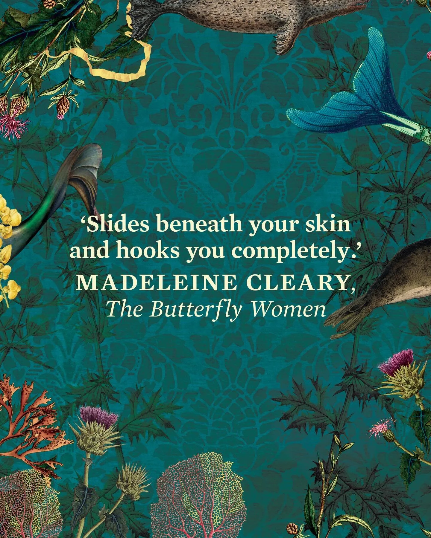 I am beyond thrilled that I have a book cover quote from the wonderful @madeleineclearywrites! Madeleine is also published by Affirm Press and her debut novel The Butterfly Women has flown to great heights since publication last mother&rsquo;s day. 
