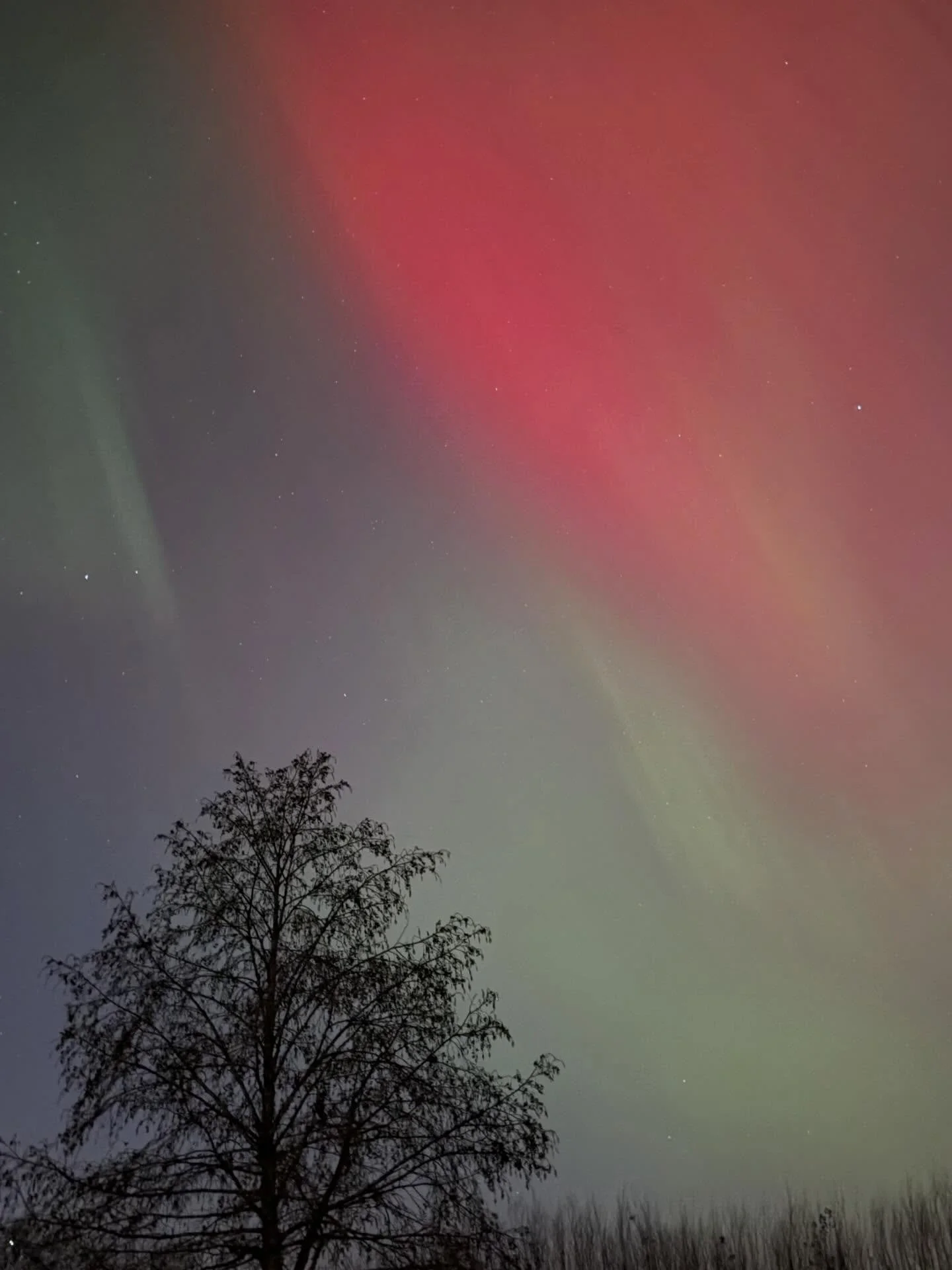 On a random Tuesday night in Minneapolis I got to tick something off my bucket list 😭