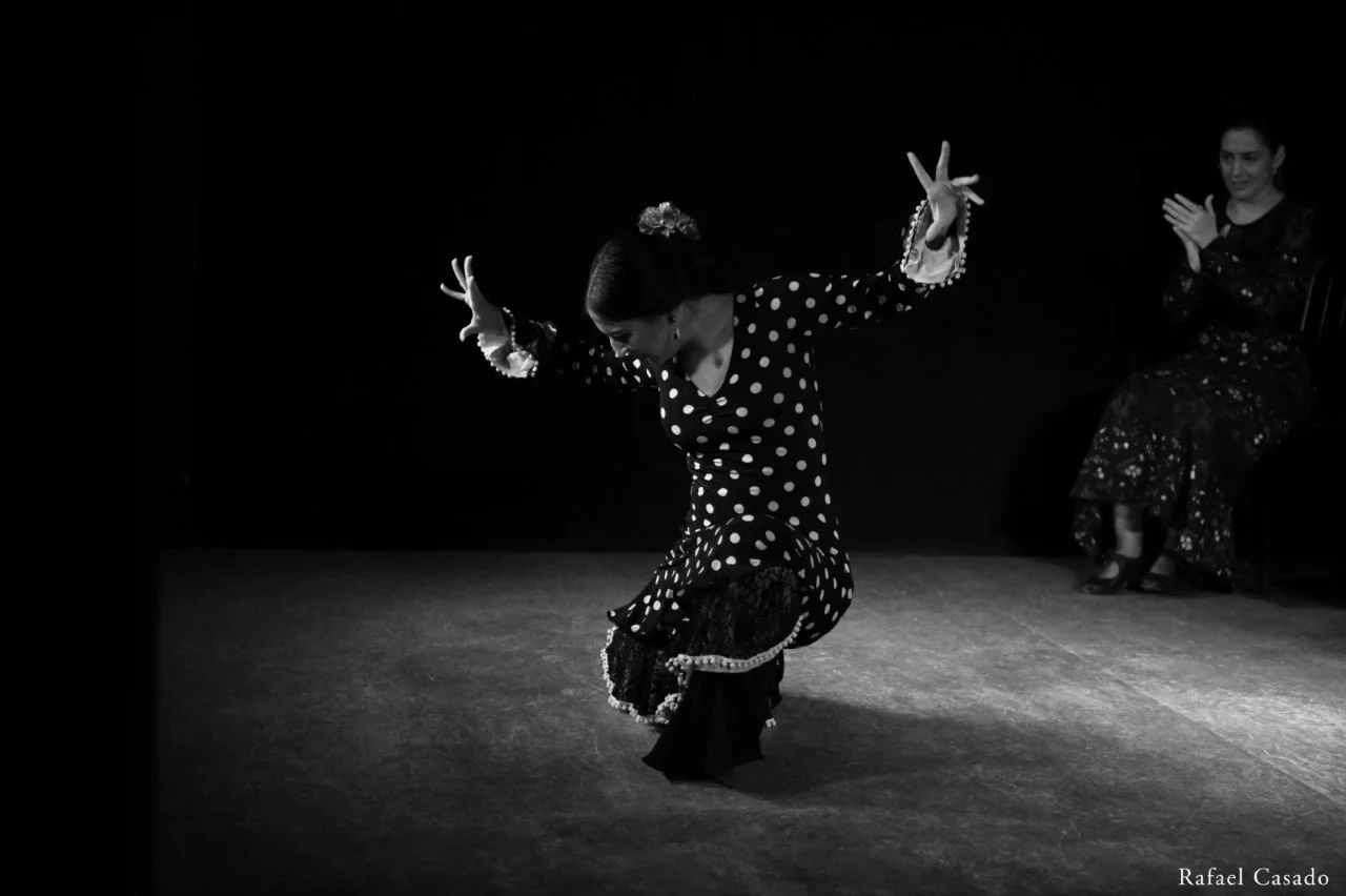 ReVóZo Flamenco with Vicente Griego