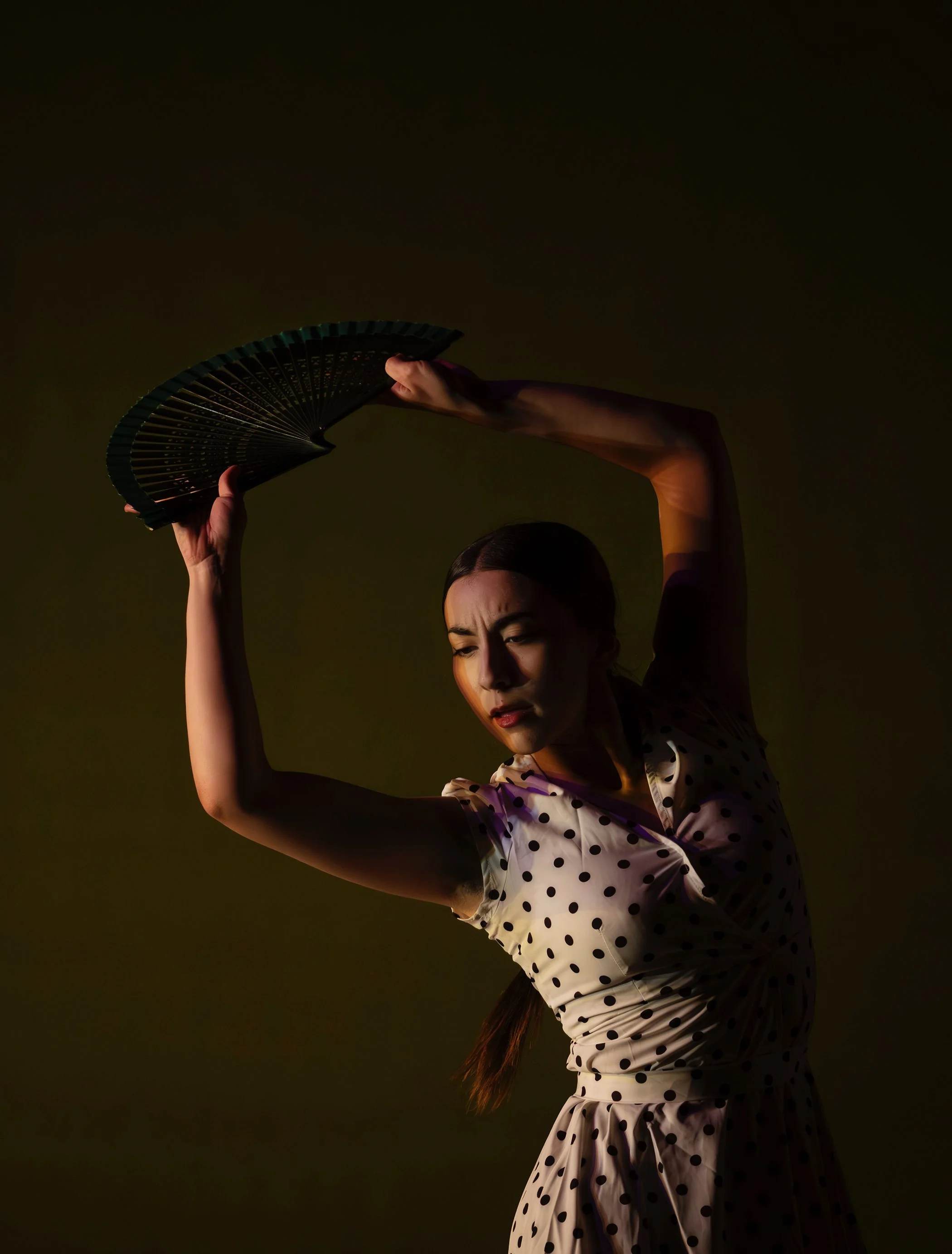 ReVoZo Flamenco with Vicente Griego 