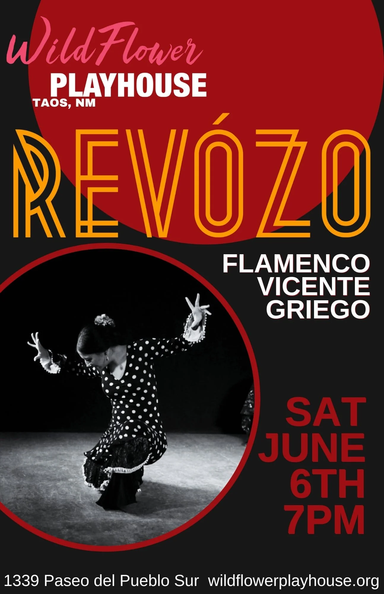 ReVoZo Flamenco with Vicente Griego