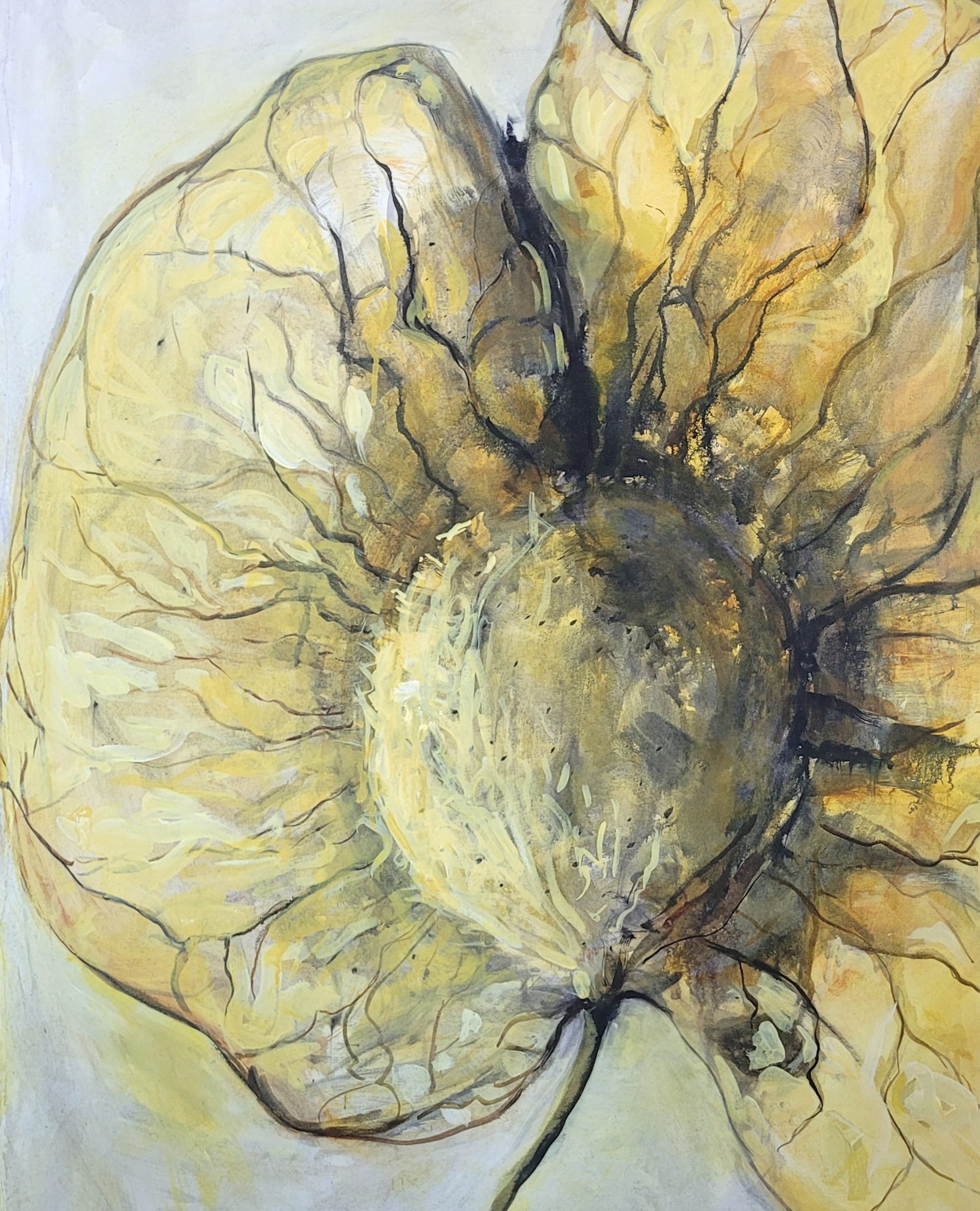 5-DetailPteleaTrifoliataSeed_NicoleThibodeau-1.jpeg