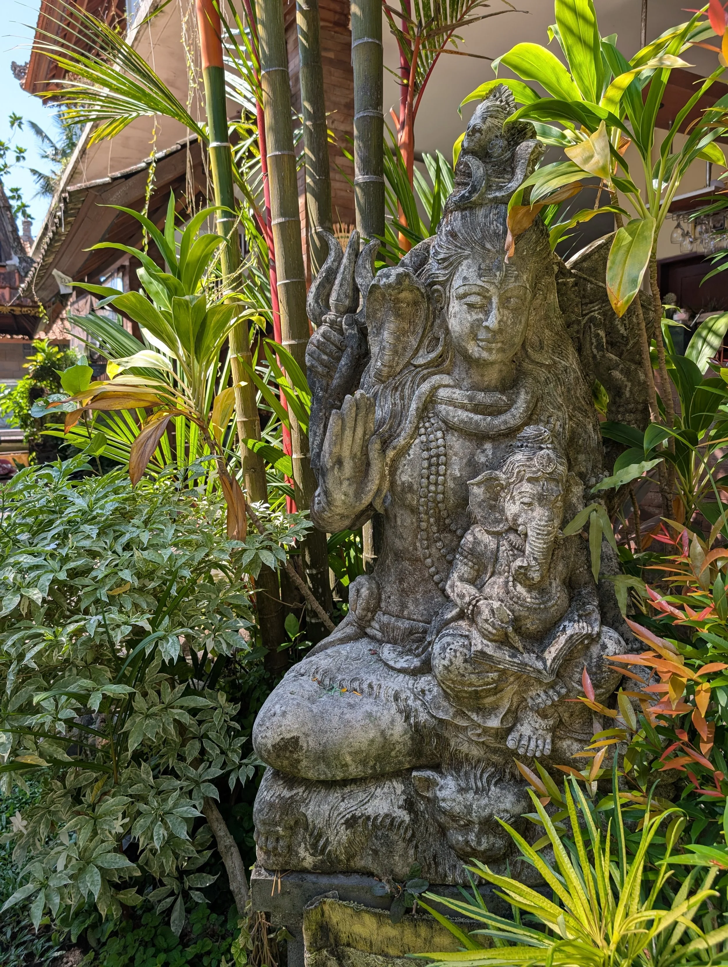 Last Week in Bali