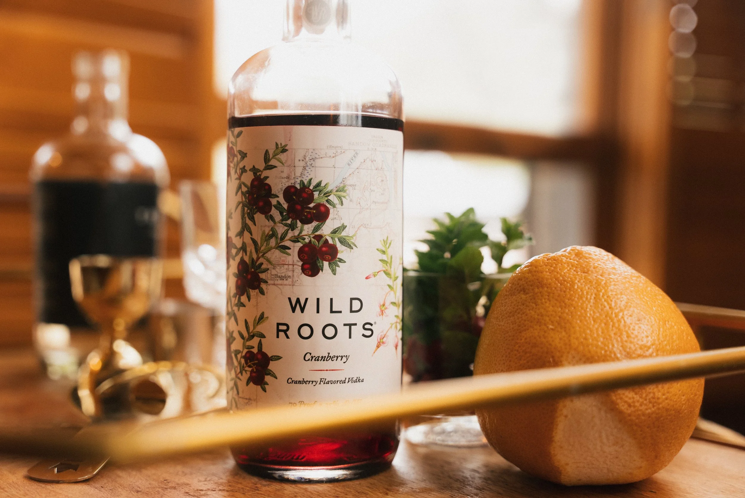 libby o_cocktail shoot-21.jpg