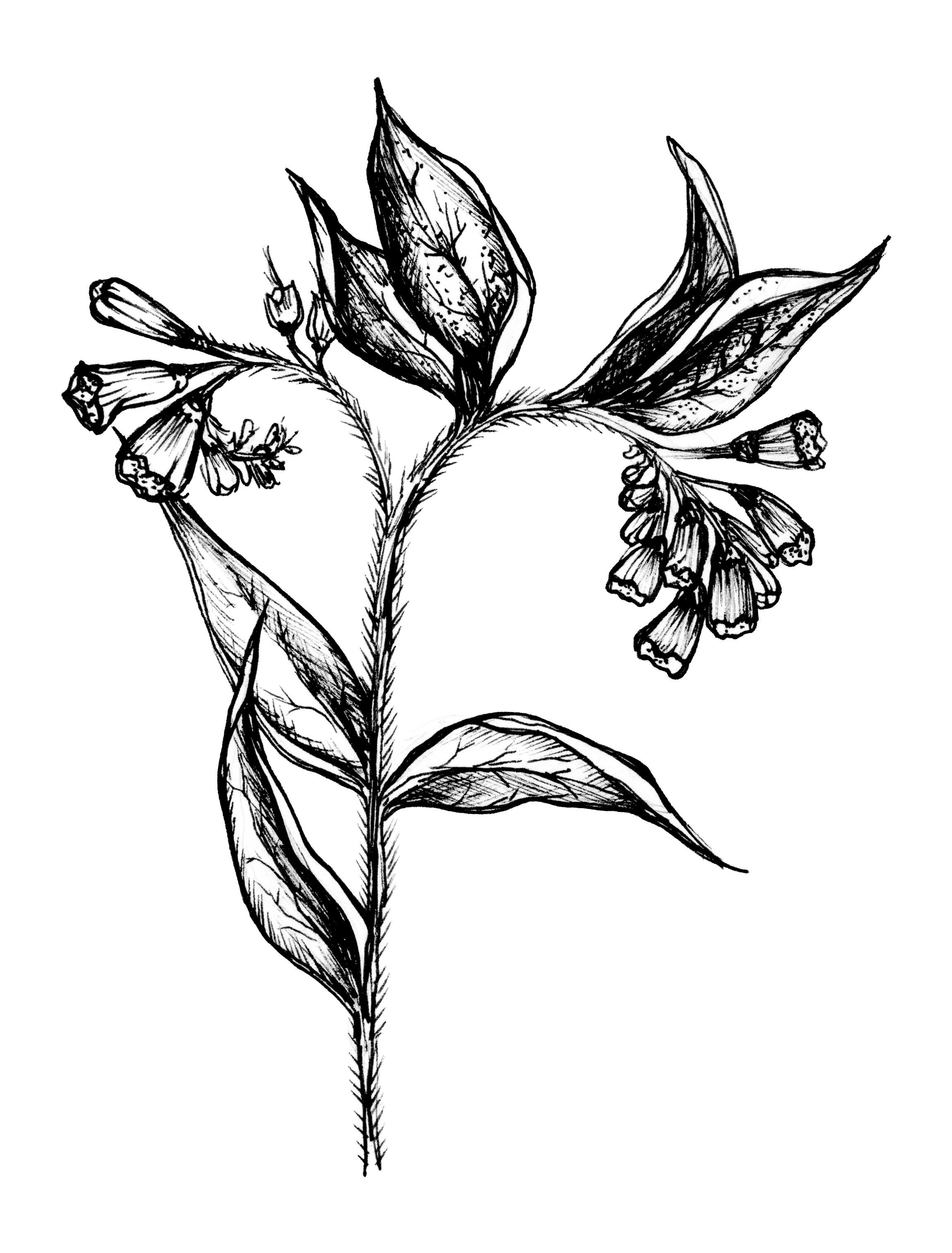 BALM INGREDIENTS_ALL_V6 copy.png