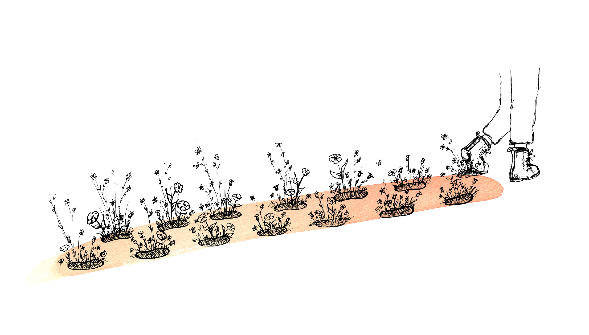 Flowers_3_orange_V1 copy.png