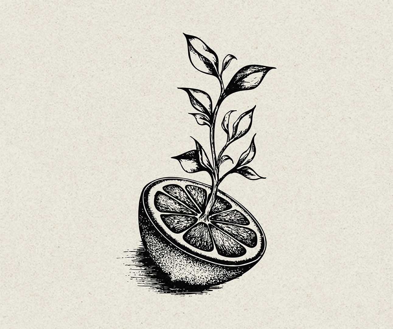 HEADY_ART_WEBSITE_RSCO-Hot-Press_feed_lemon sprout.png