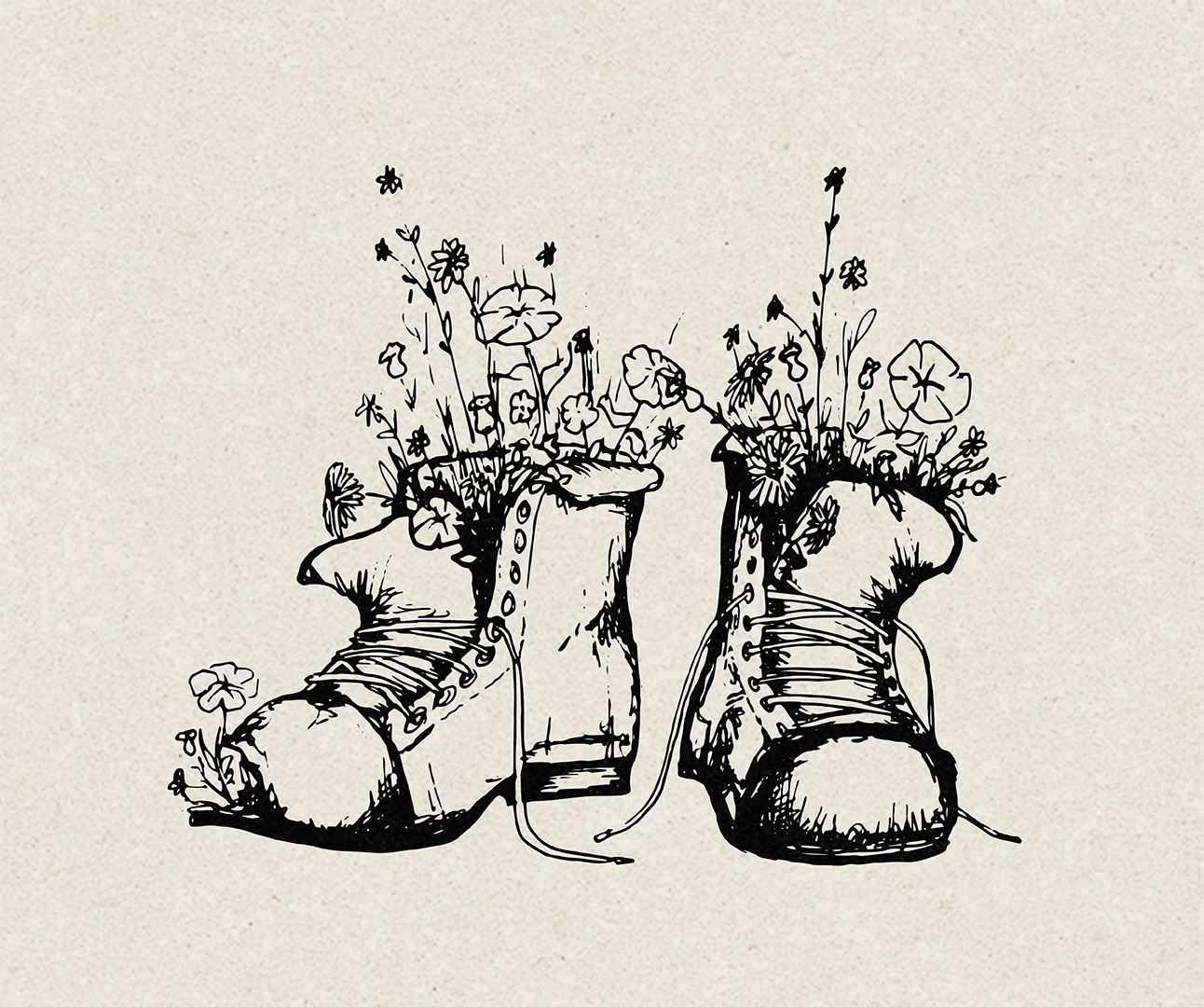 HEADY_ART_WEBSITE_RSCO-Hot-Press_feed_paynes 2.png