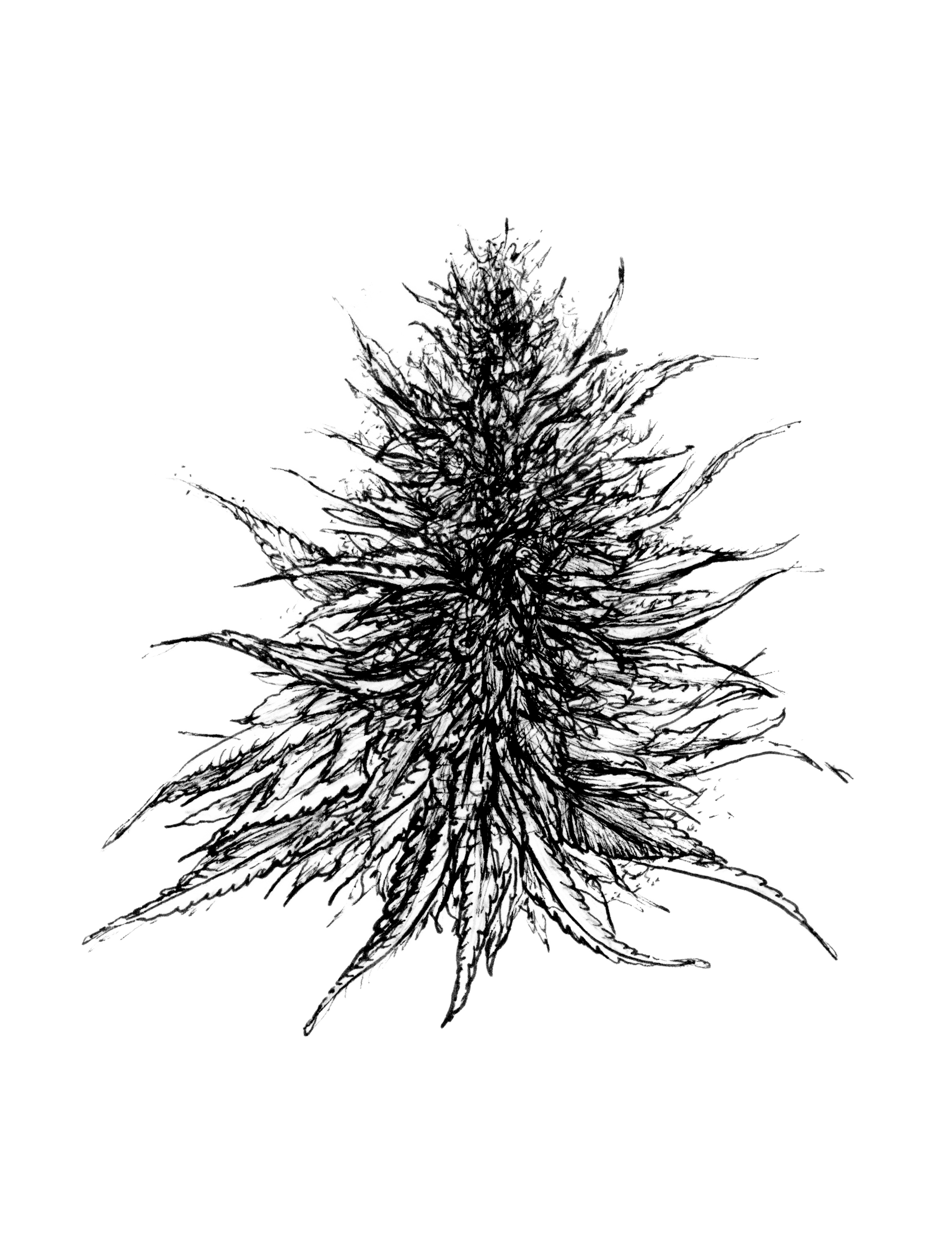 BALM INGREDIENTS_ALL_V12copy.png