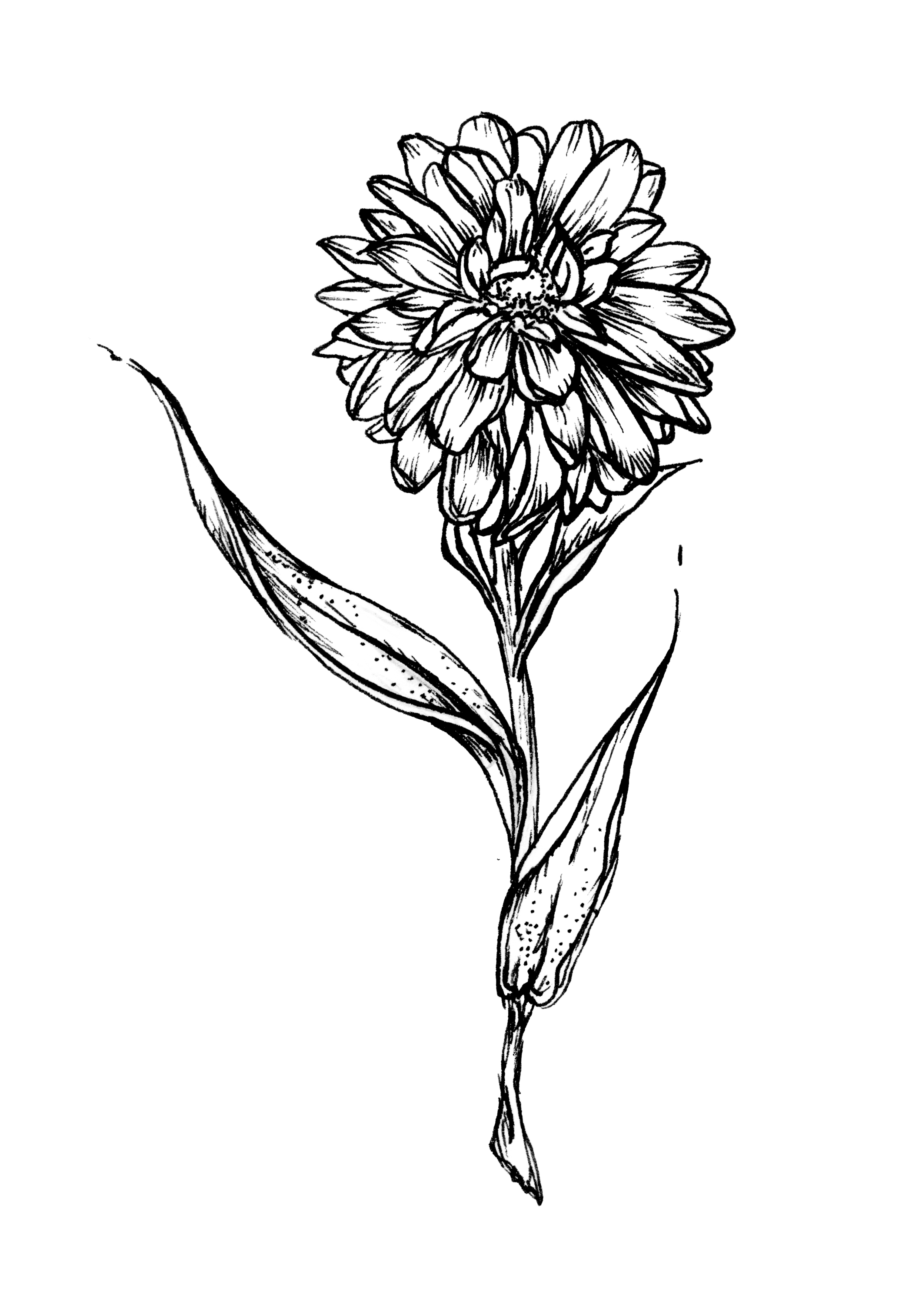 BALM INGREDIENTS_ALL_V1 copy.png