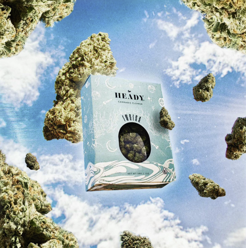 Screenshot 2025-02-27 at 4.48.48 PM.png