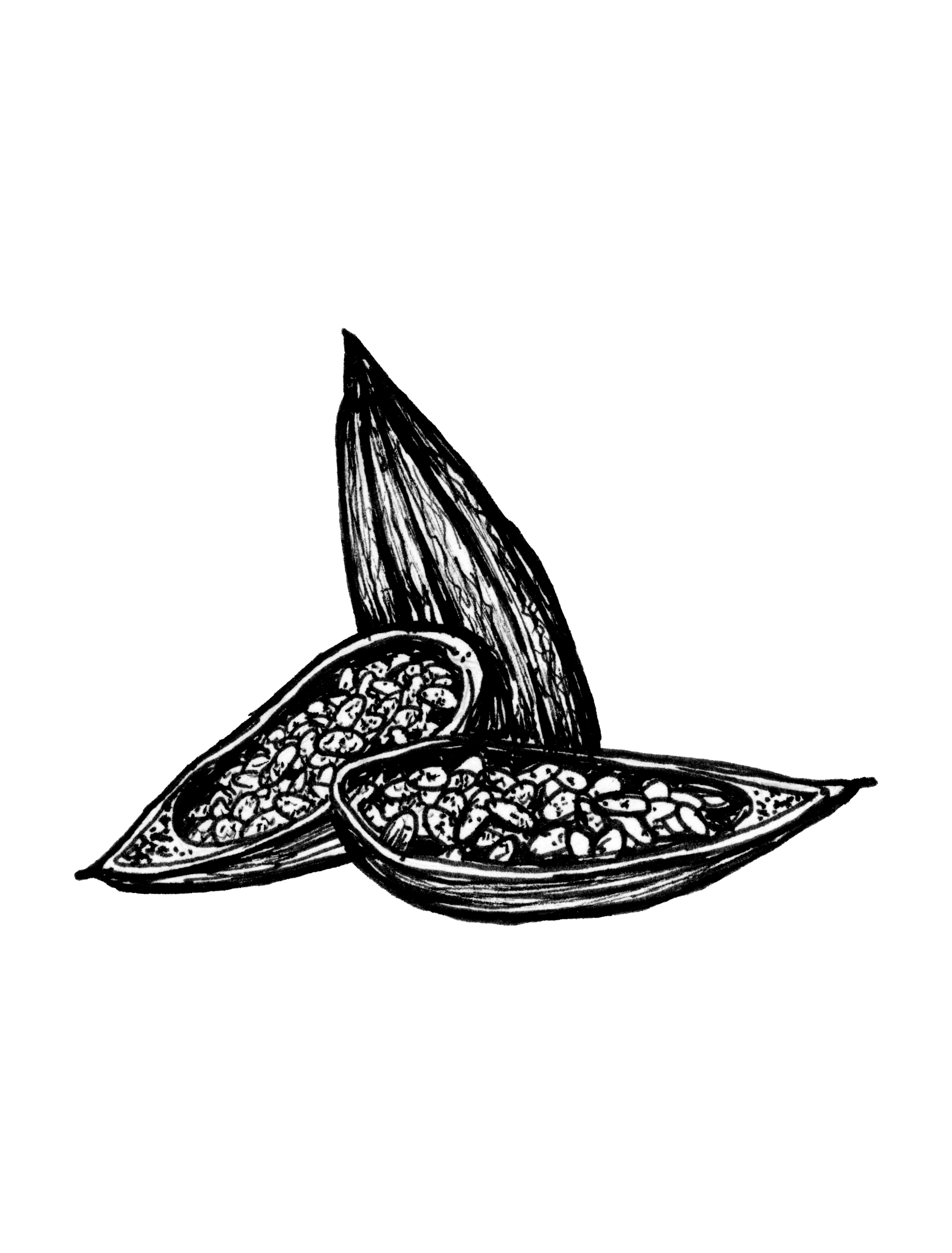 BALM INGREDIENTS_ALL_V3 copy.png