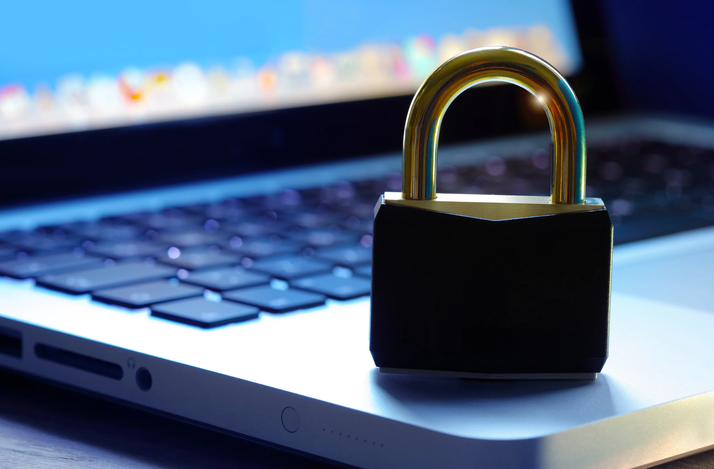 Director Oversight of Data Security Issues