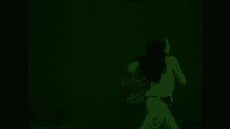 LE NU