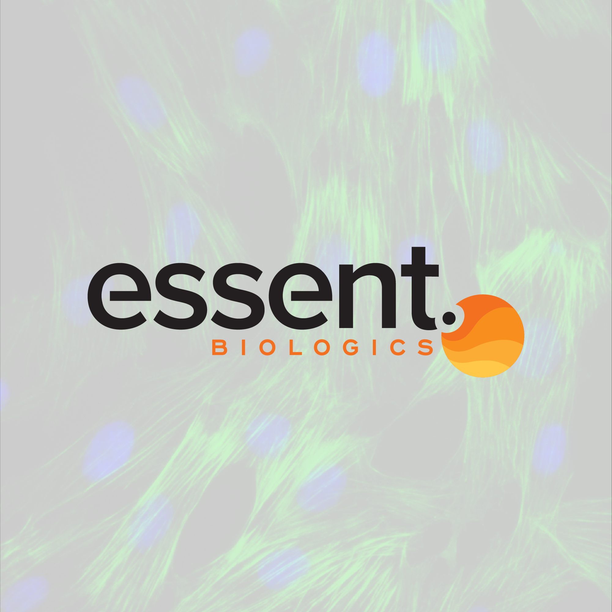 Essent Biologics