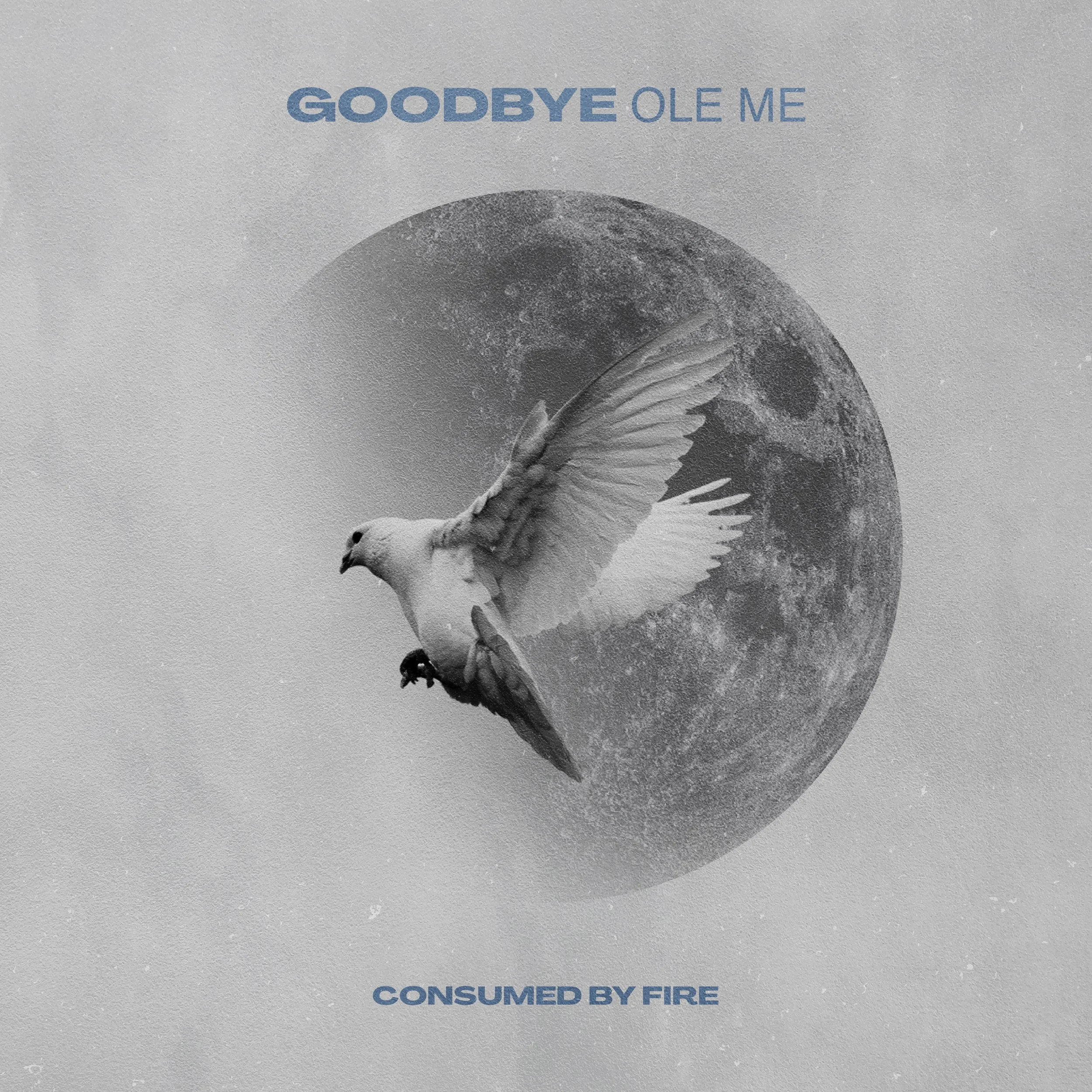CONSUMED BY FIRE — GOODBYE OLE ME
