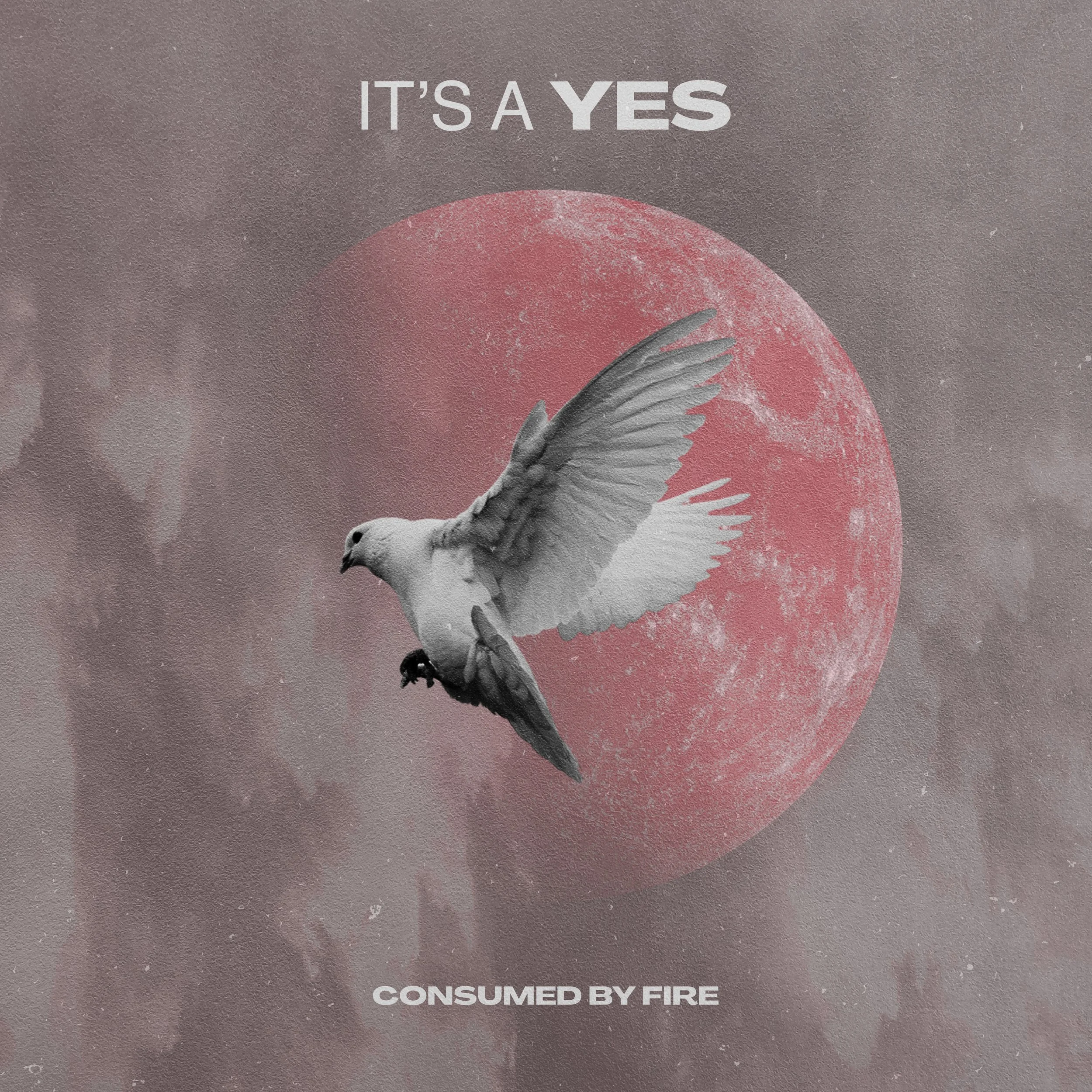 CONSUMED BY FIRE — IT’S A YES