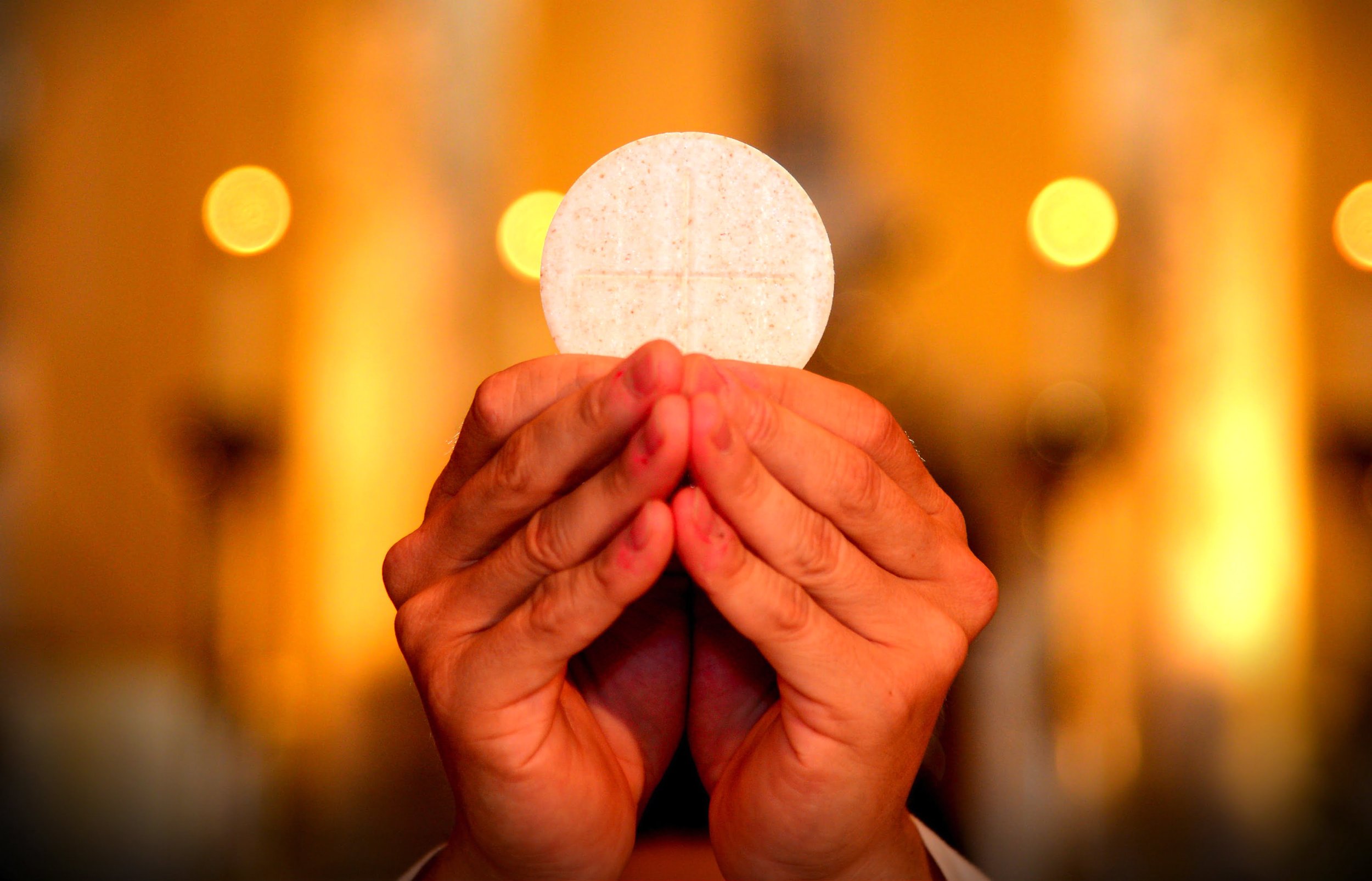 Daily Mass?