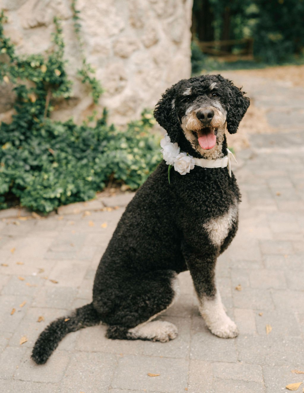 K+C_WeddingPhotos_-293.jpg