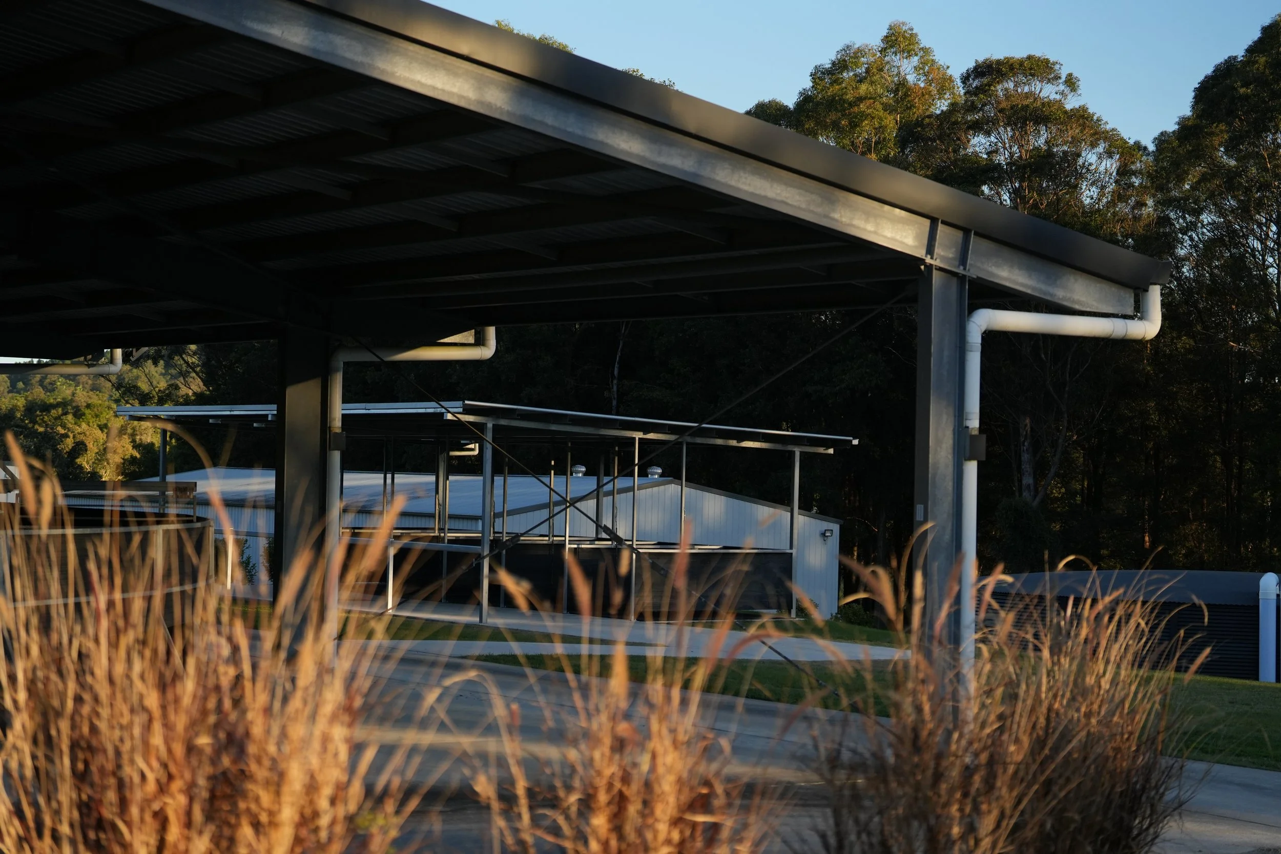 An outdoor scene featuring a metal shelter and some buildings in the background with trees, during the late afternoon or early evening.