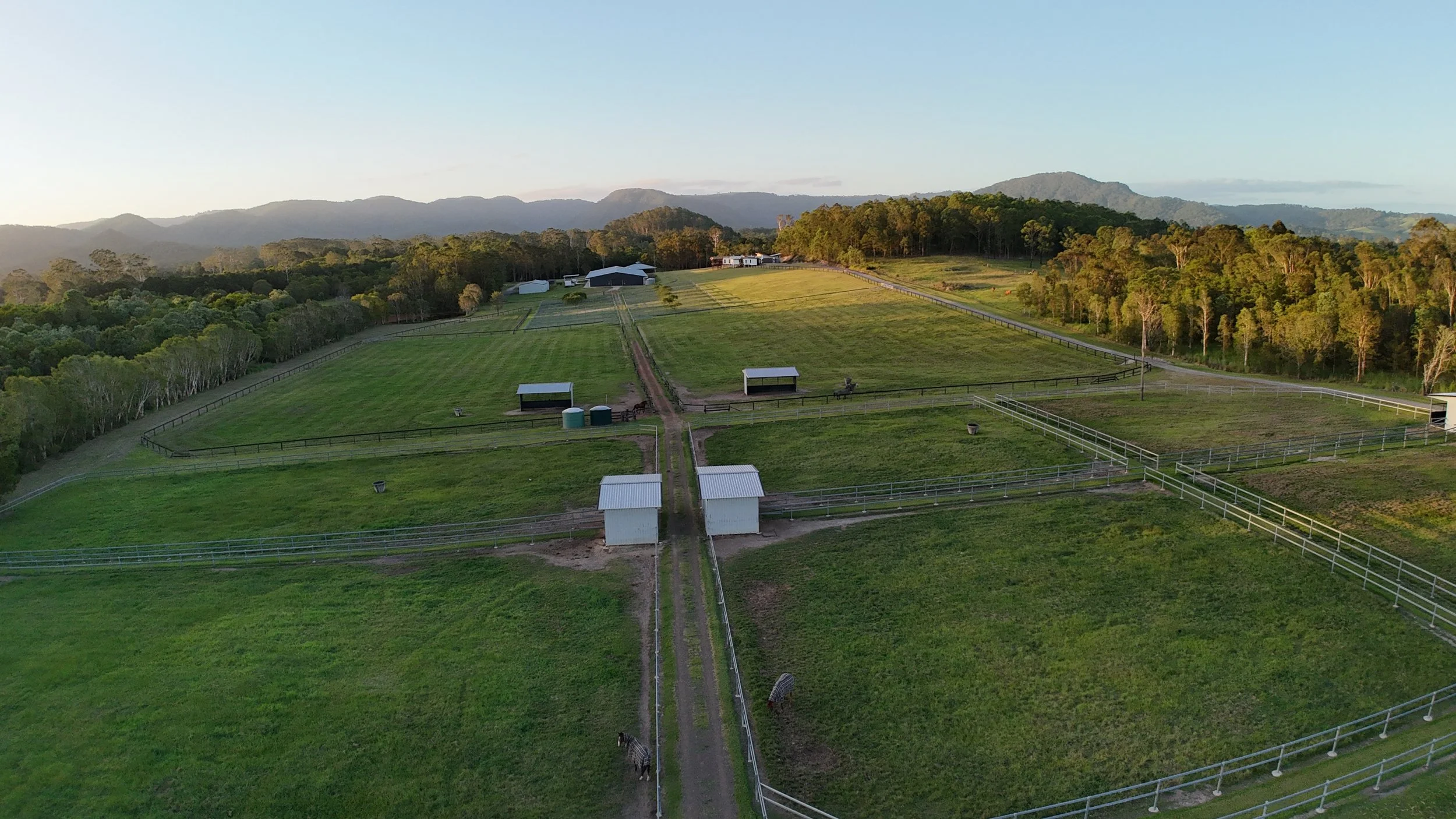 Aerial view of a green horse farm with fenced paddocks, small shelters, and some horses grazing, surrounded by trees and hills at sunset.