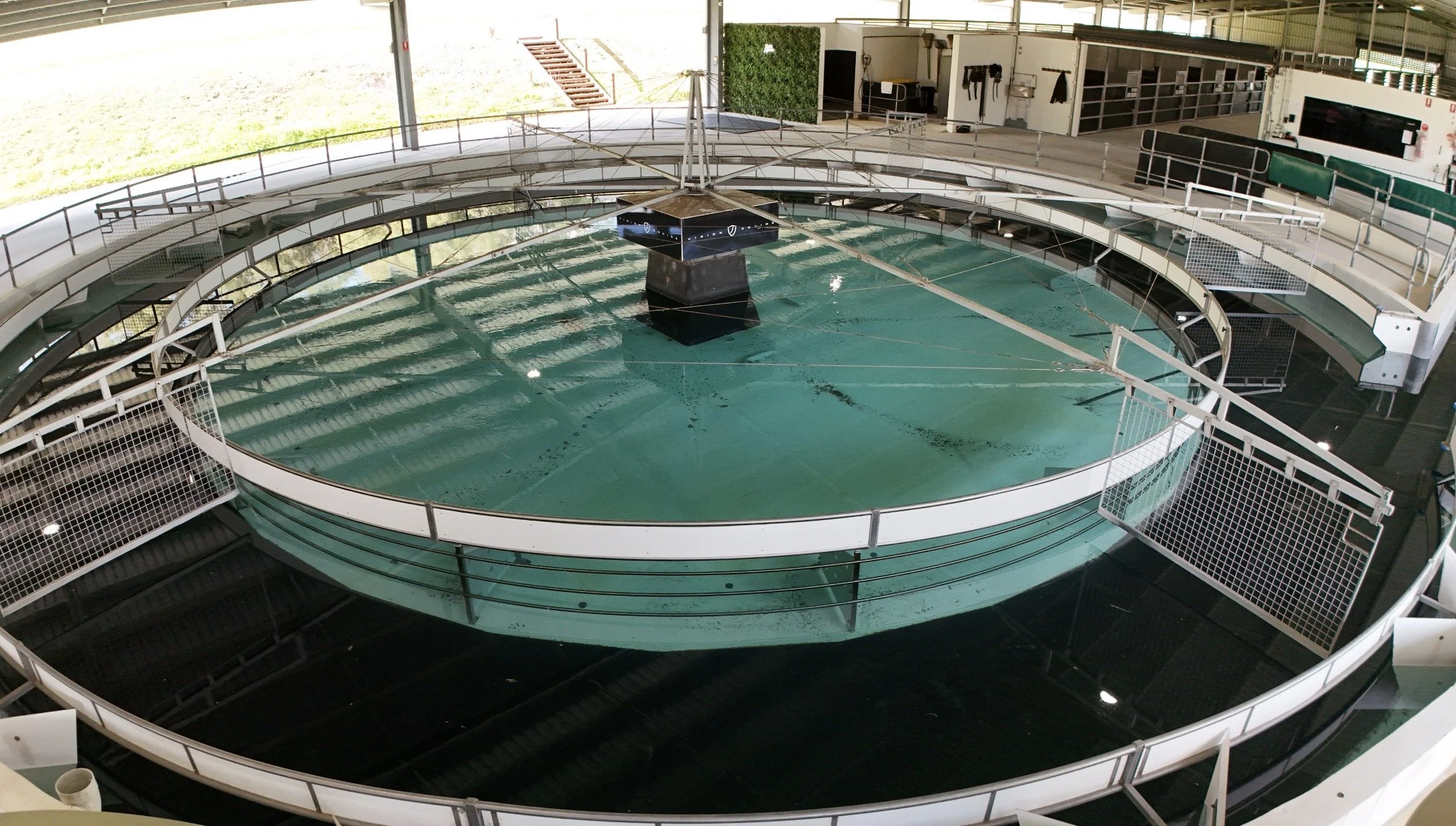 horse pool
