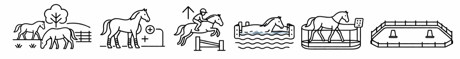 Series of line drawing icons depicting a horse. The icons show the horse grazing, standing, jumping over a hurdle, swimming, walking on a treadmill, and in an enclosed riding arena, followed by an empty riding arena.
