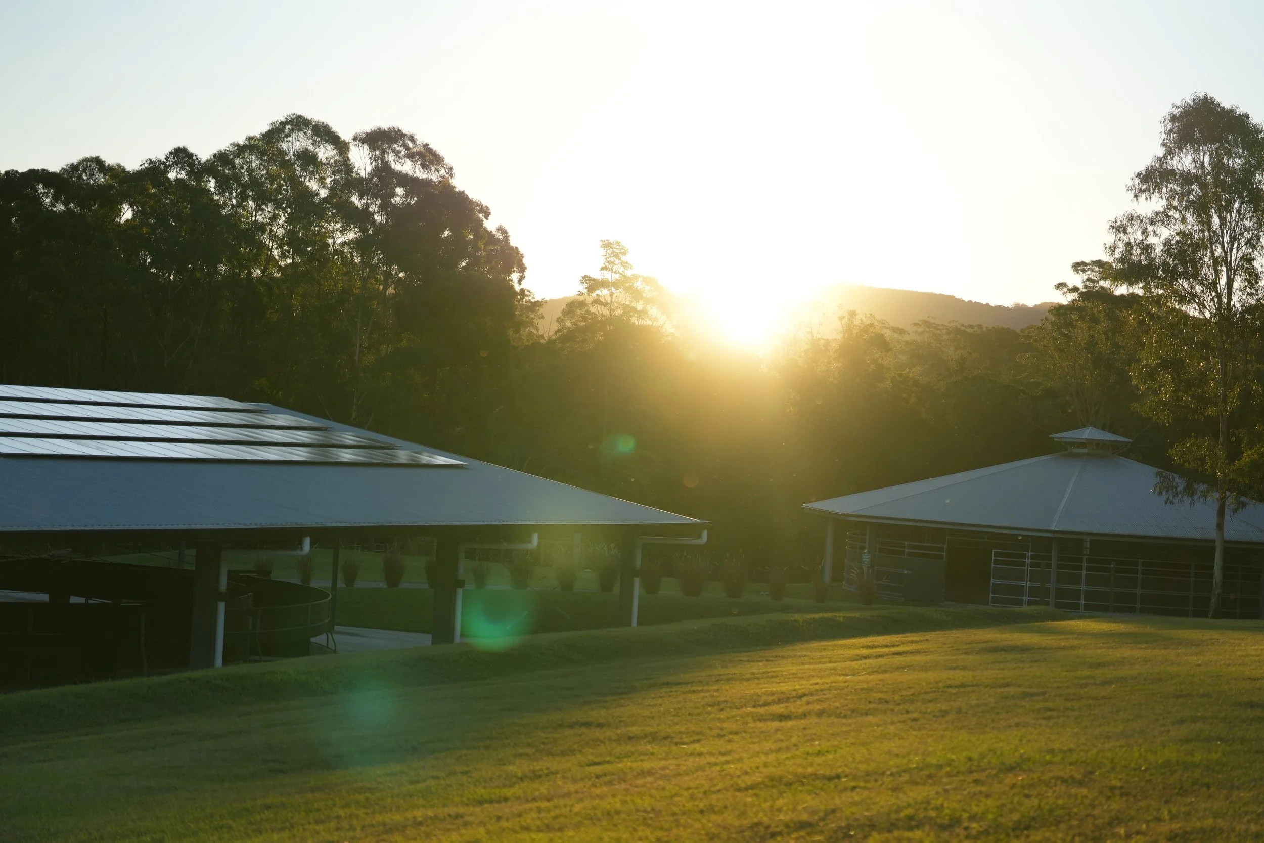 Sun setting behind a wooded hill with two buildings with metal roofs in a grassy outdoor area.